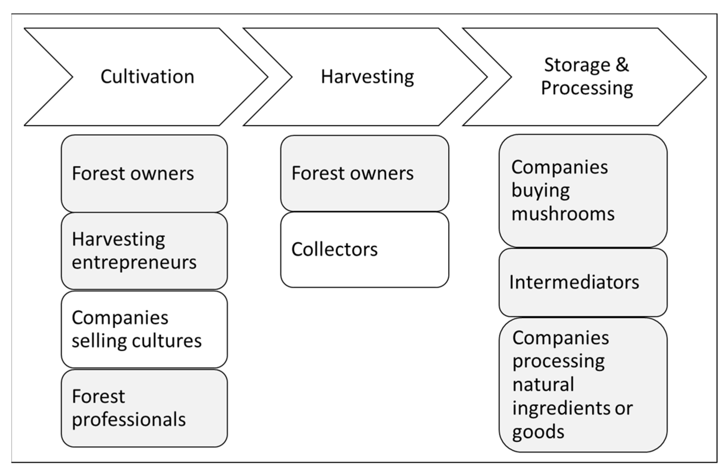 Forests 14 00134 g001