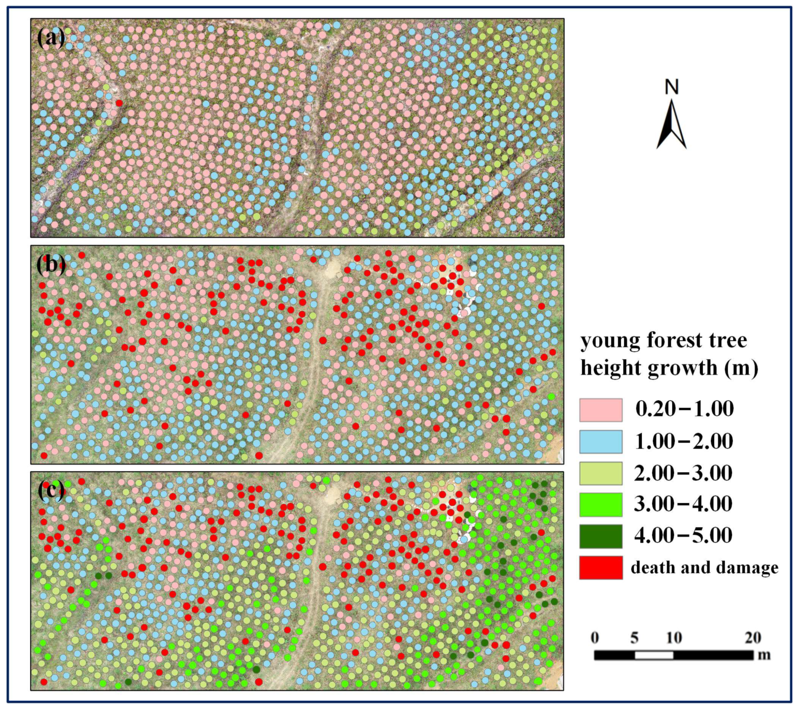 Forests 14 00141 g015 Forests 14 00141 g015