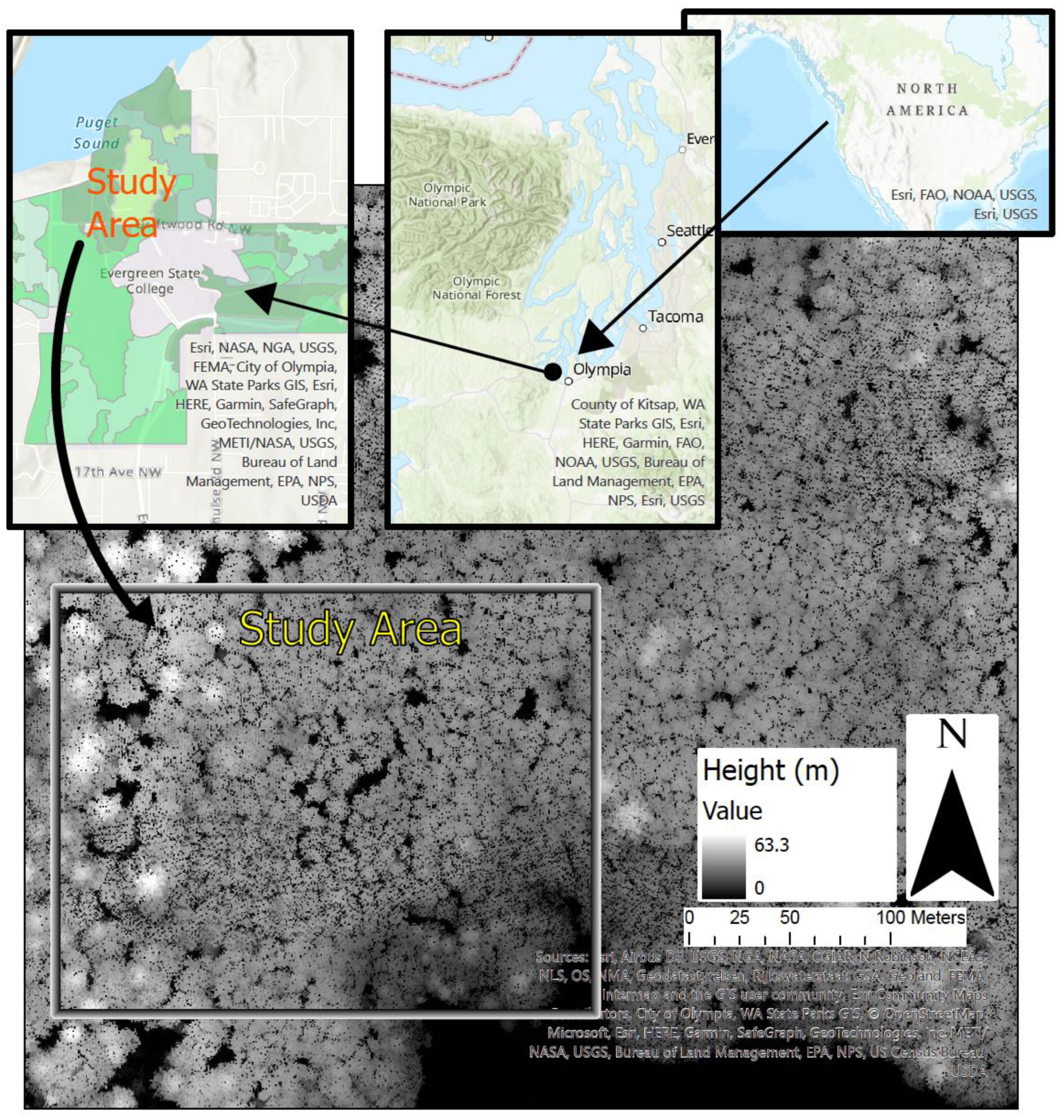 Forests 14 00144 g001