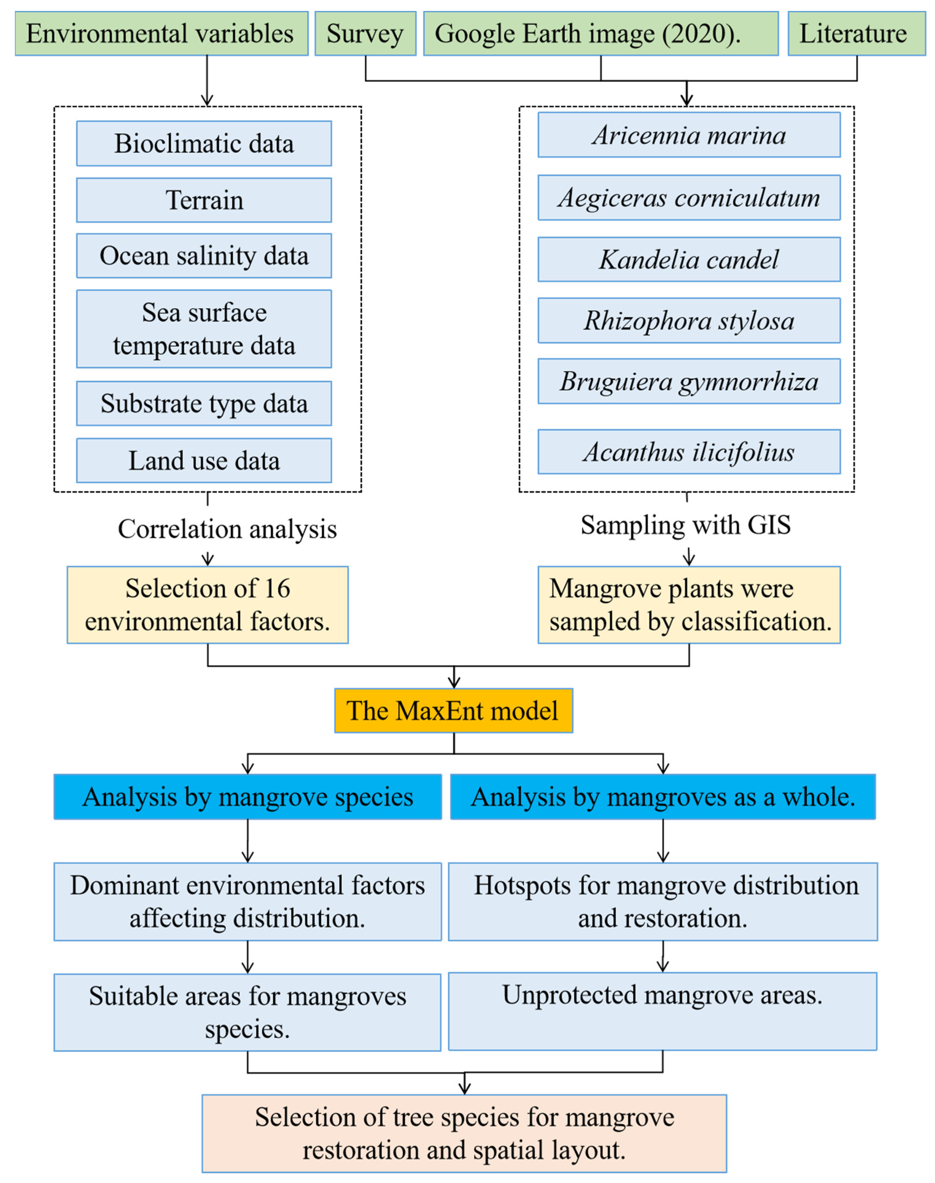 Forests 14 00149 g002 Forests 14 00149 g002