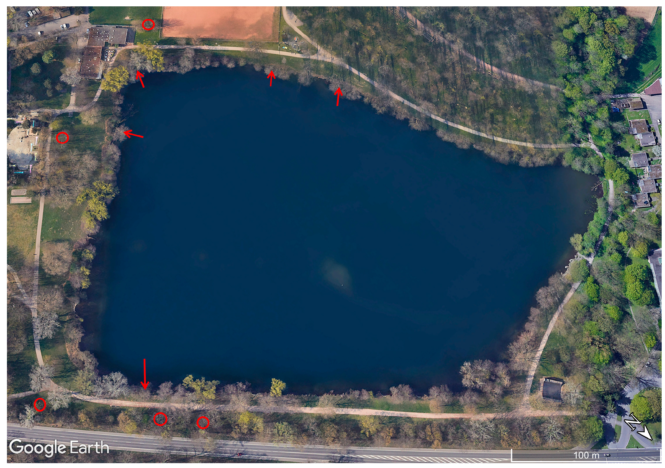 Forests 14 00151 g001 Forests 14 00151 g001