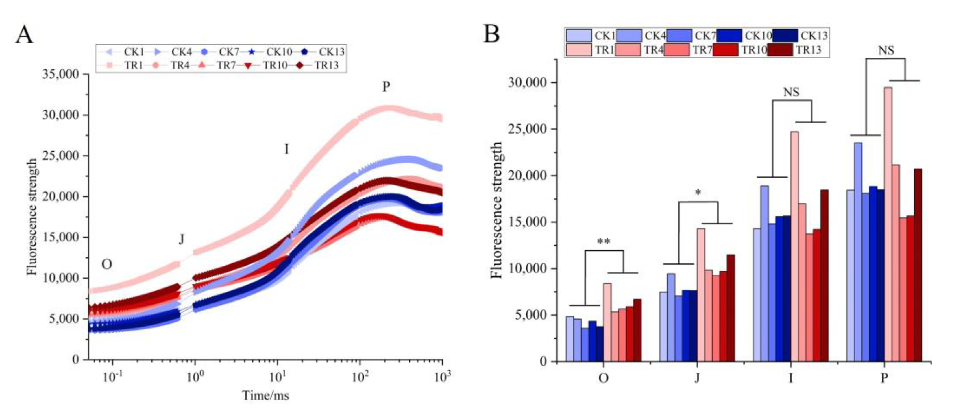 Forests 14 00154 g001 Forests 14 00154 g001
