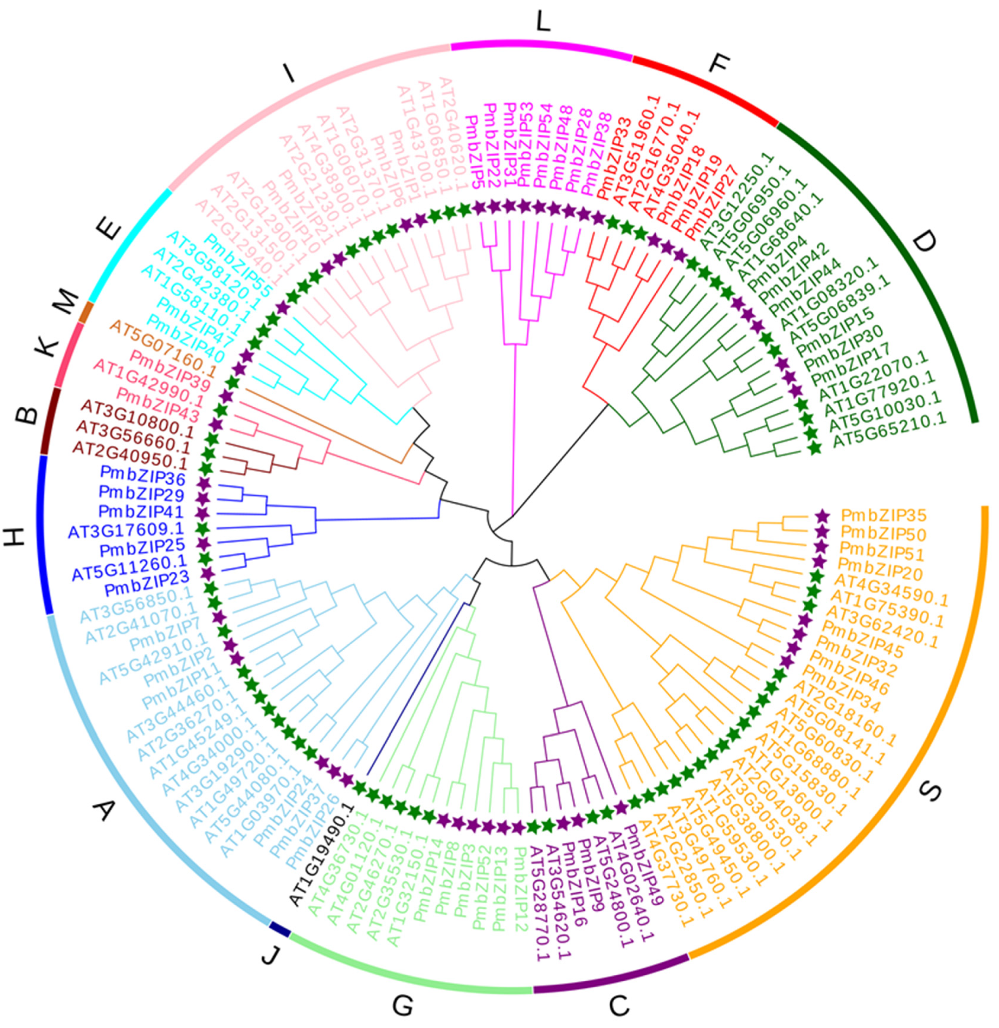 Forests 14 00155 g002 Forests 14 00155 g002