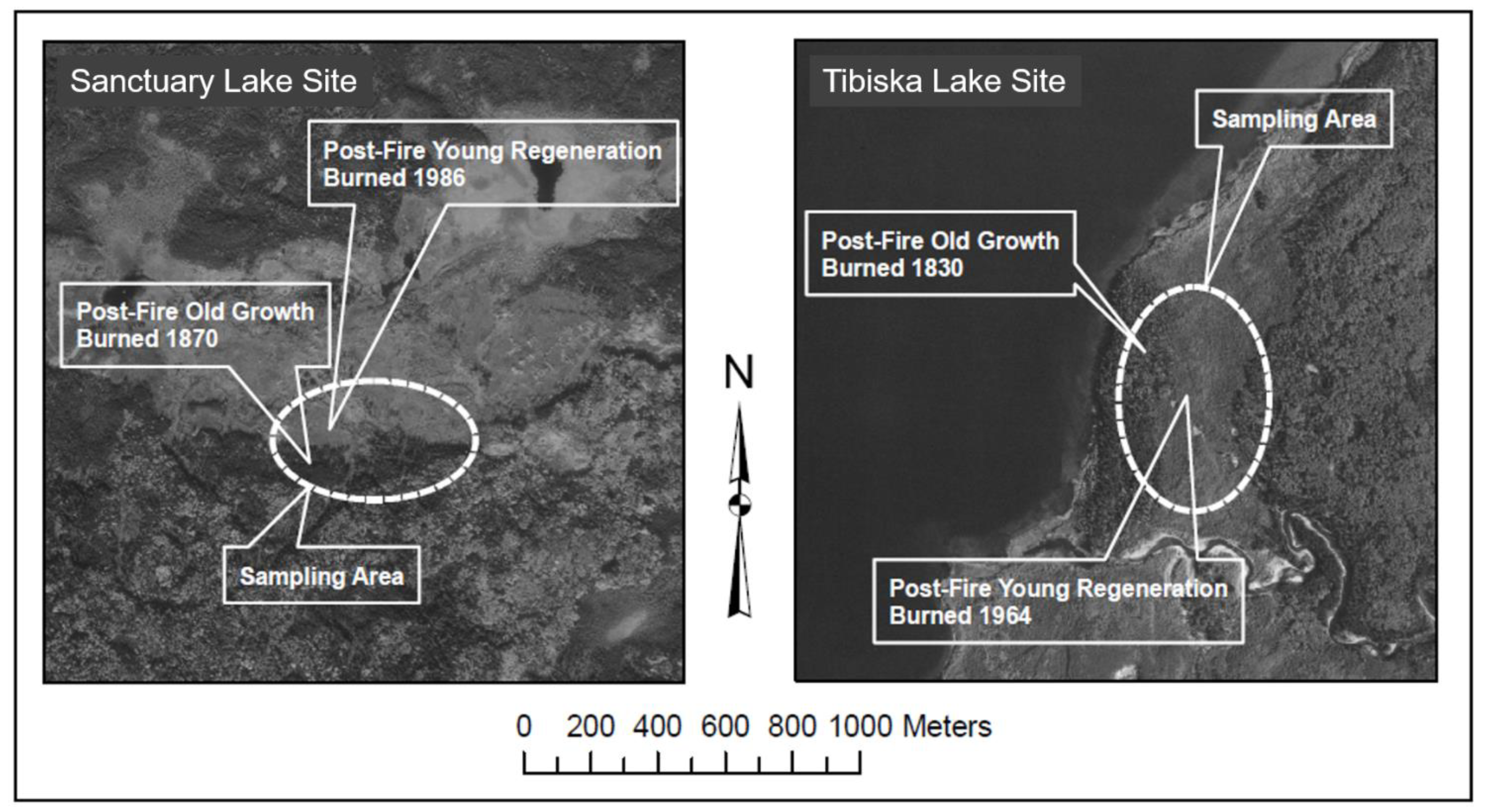 Forests 14 00157 g001 Forests 14 00157 g001