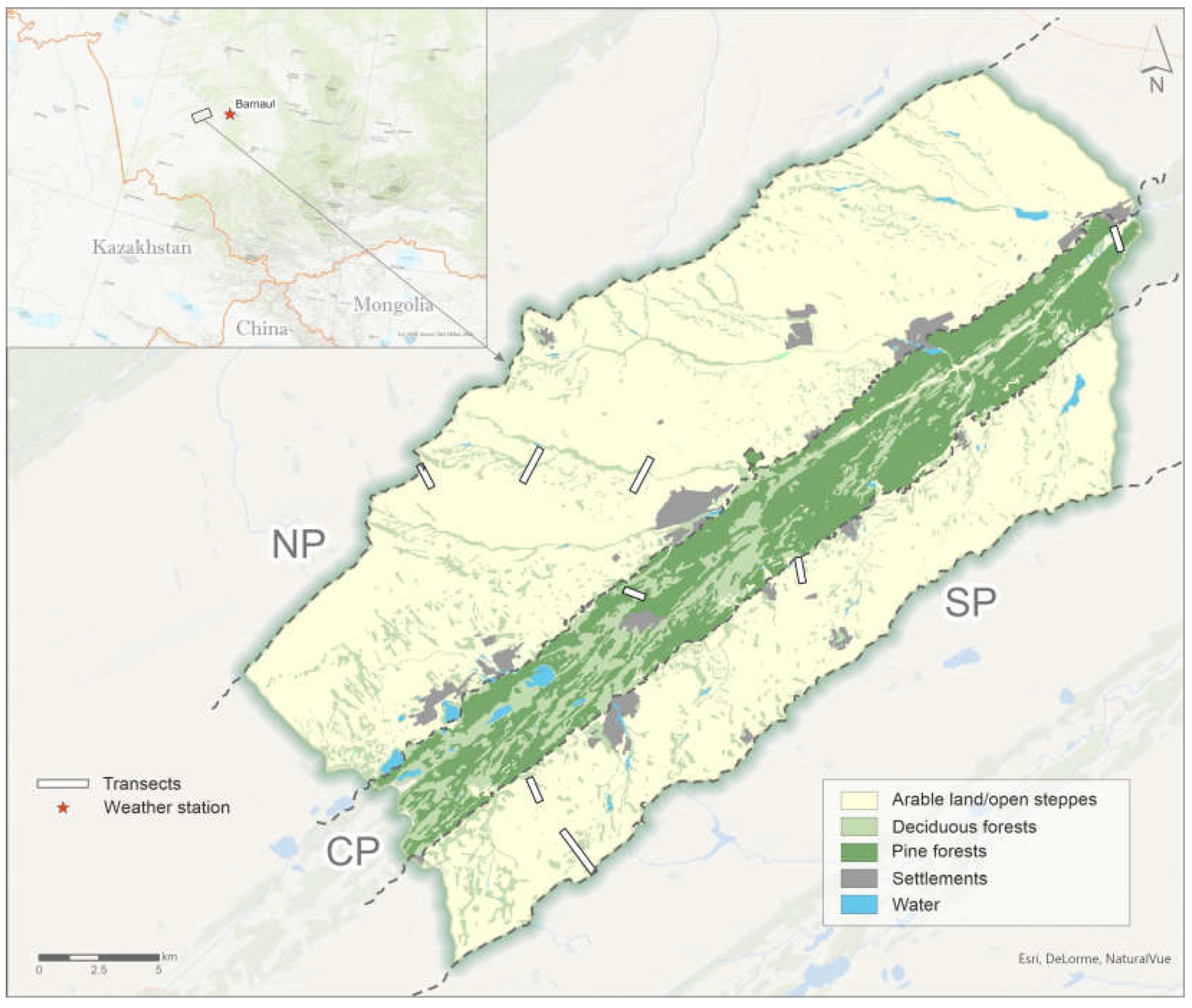 Forests 14 00160 g001 Forests 14 00160 g001