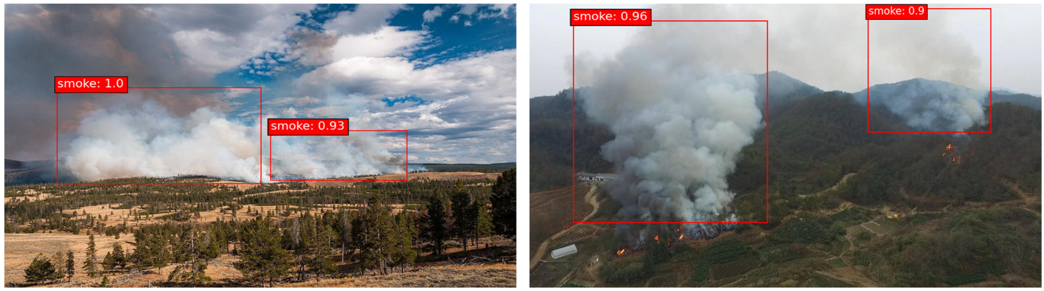 Forests 14 00162 g007b