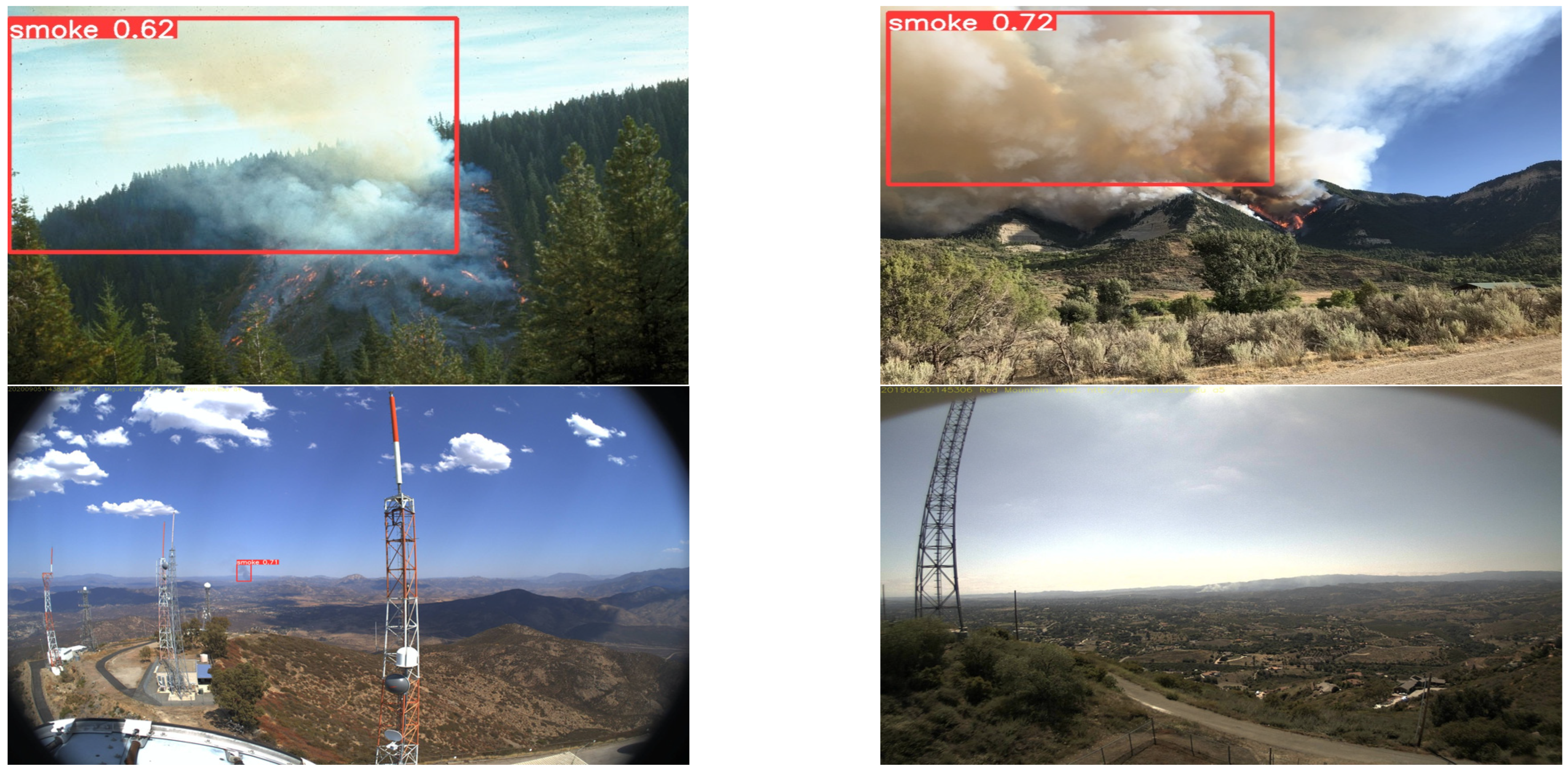 Forests 14 00162 g008