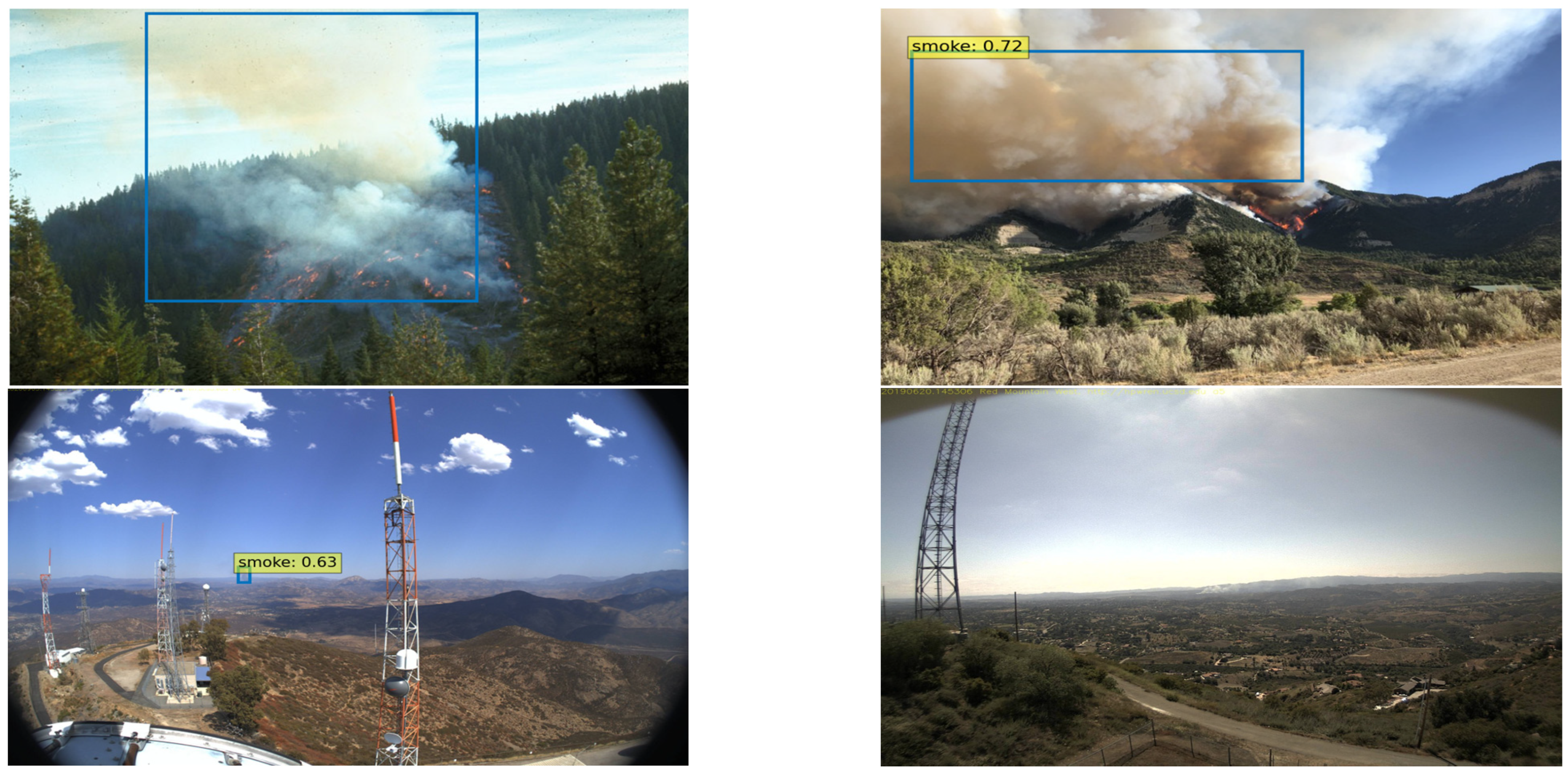 Forests 14 00162 g009