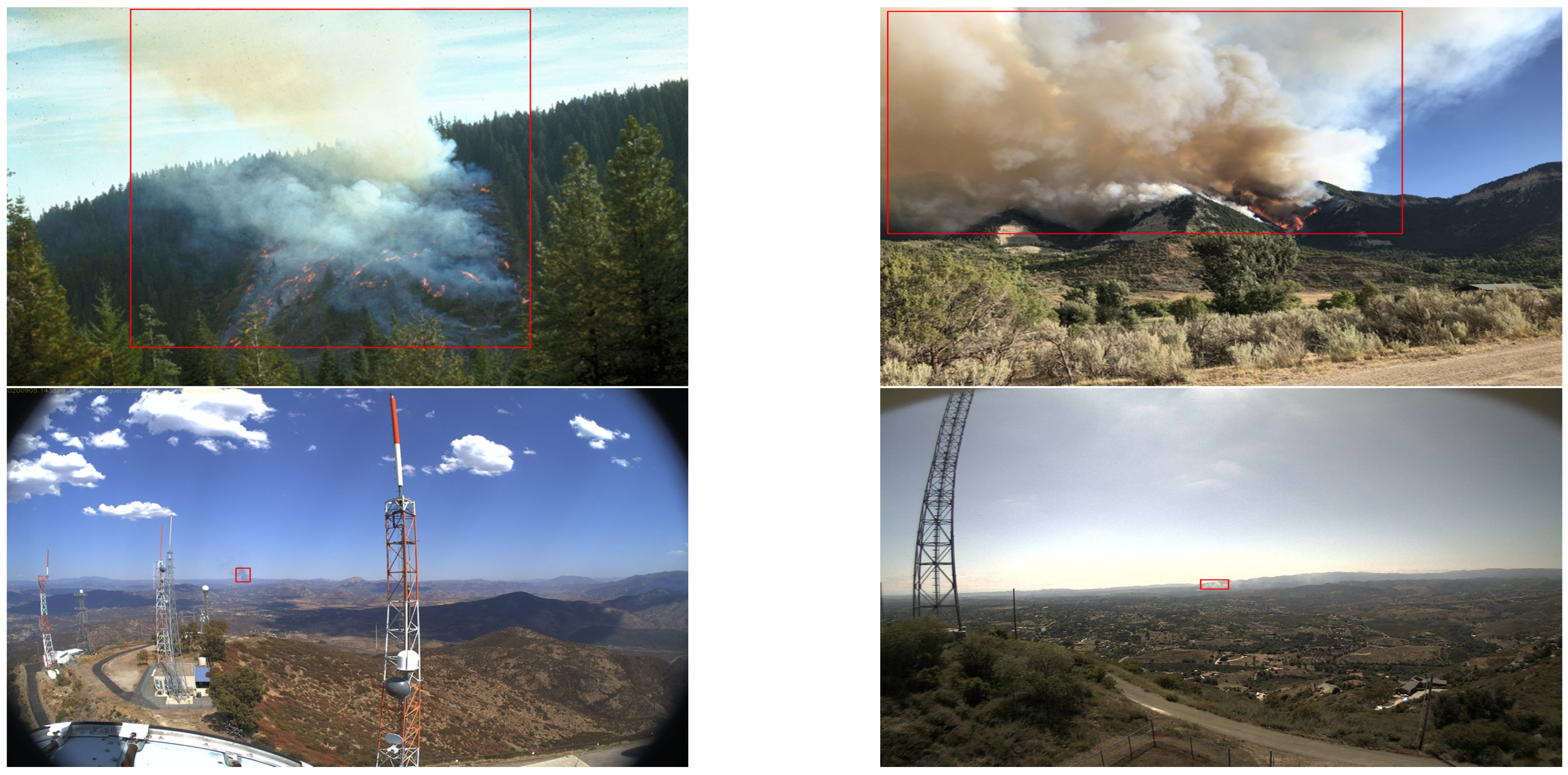 Forests 14 00162 g011