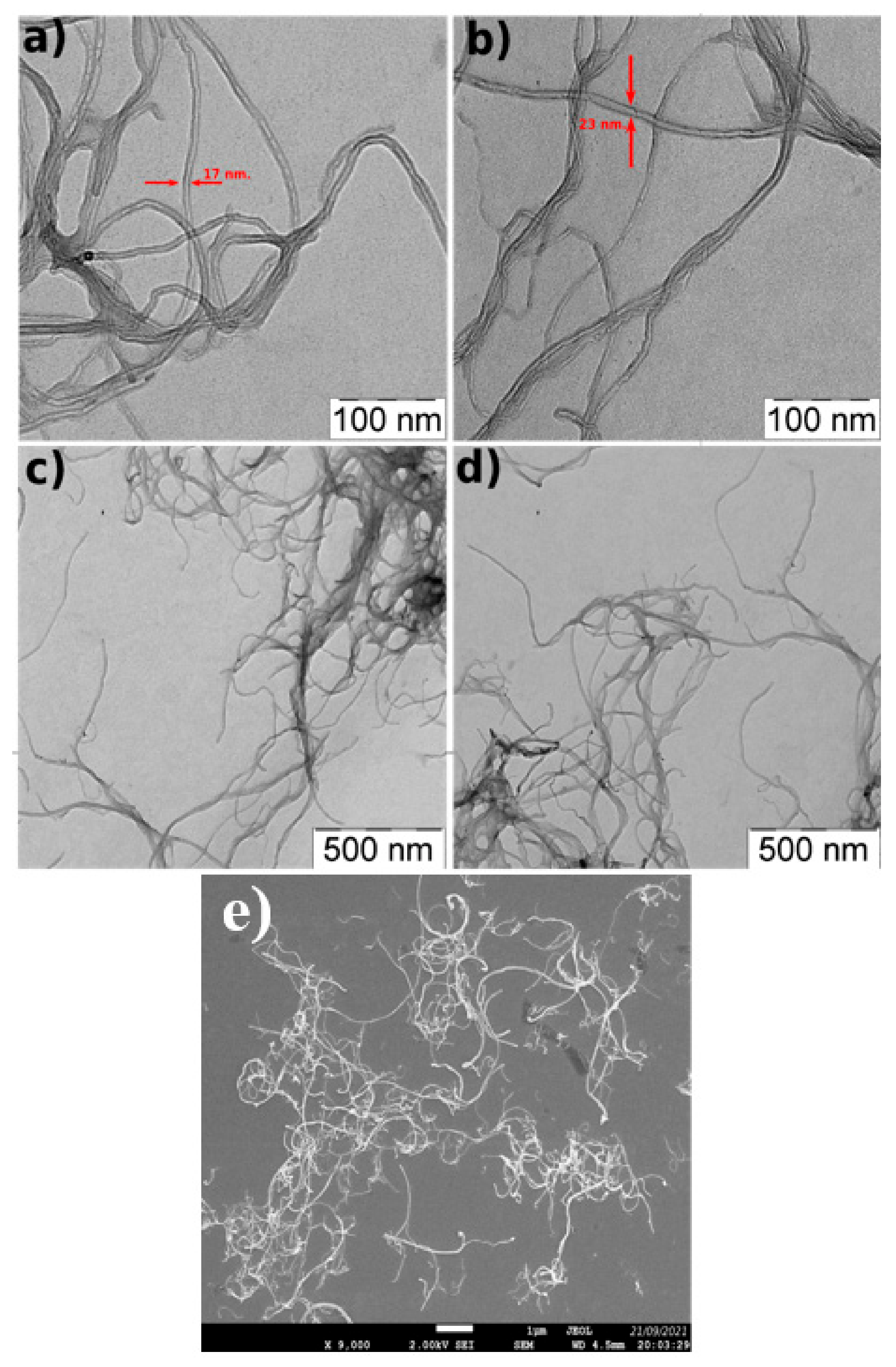 Forests 14 00163 g003 Forests 14 00163 g003