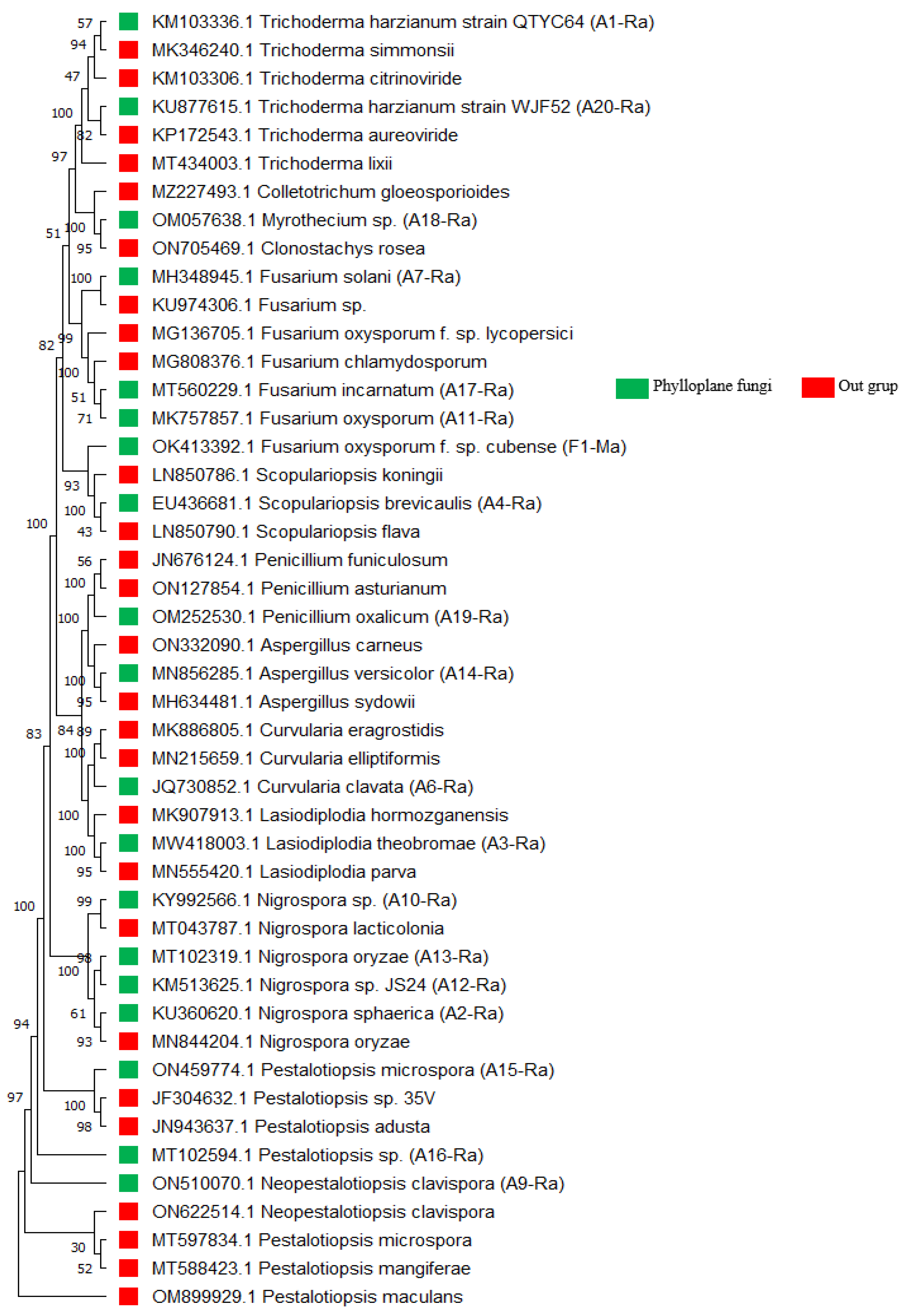 Forests 14 00167 g003 Forests 14 00167 g003