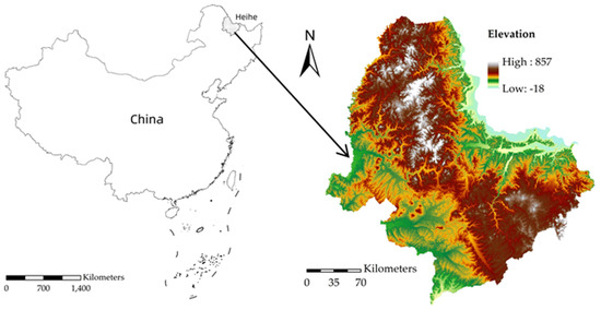 キャン 2タイトルセット $_57.JPG?set_id=8800005007