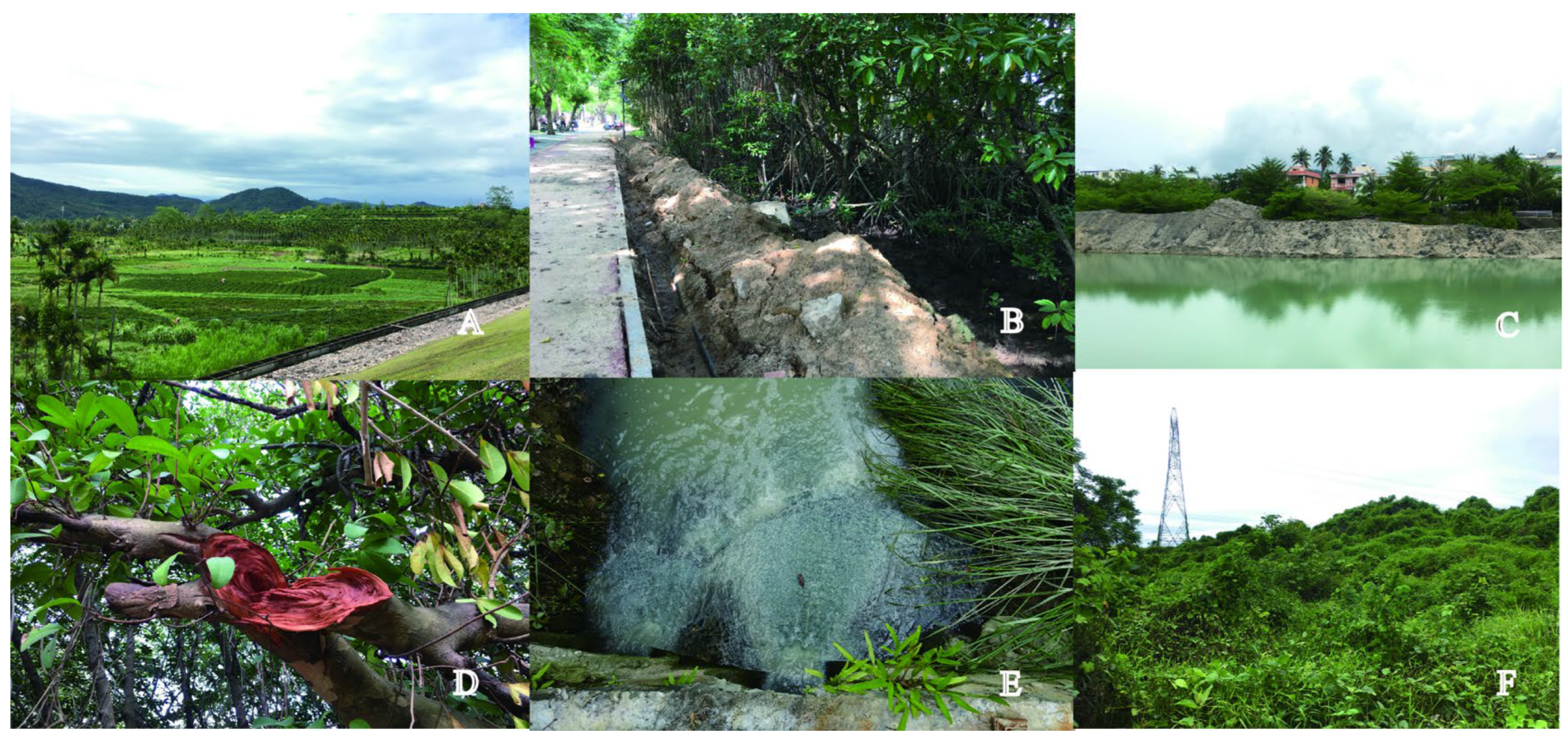 Forests 14 00176 g007 Forests 14 00176 g007