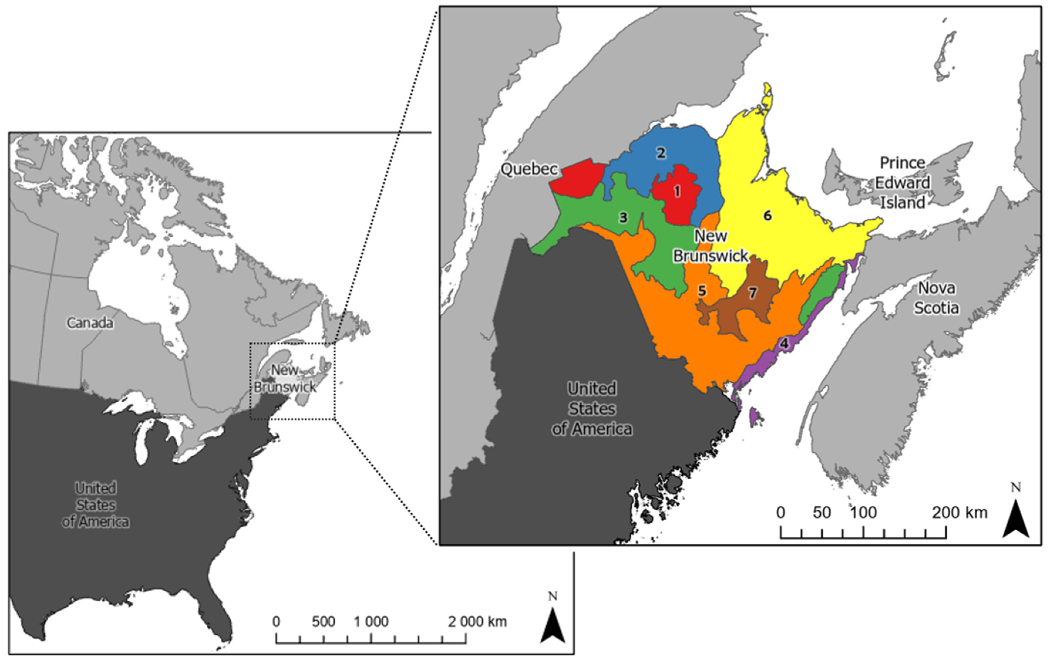 Forests 14 00182 g001
