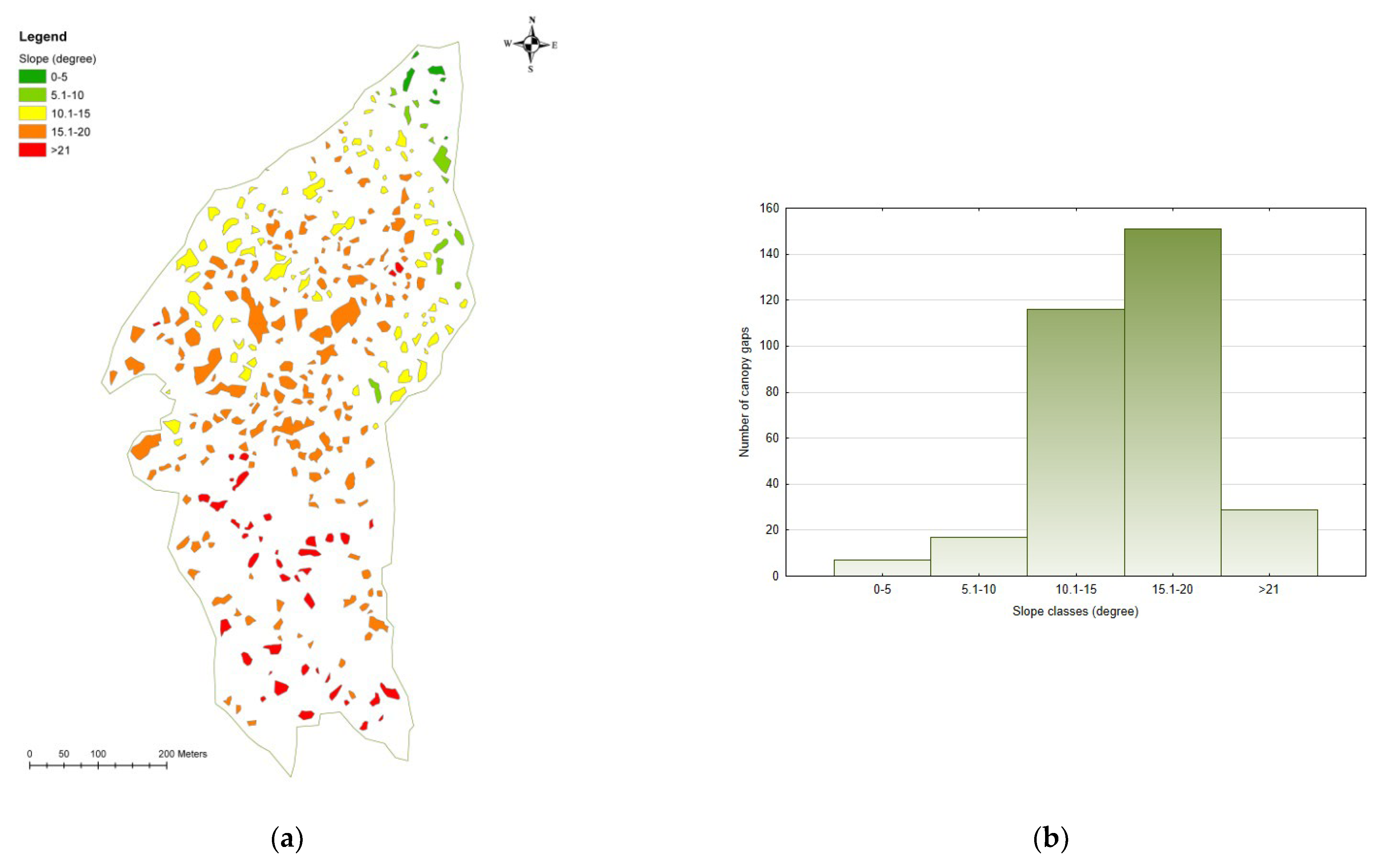 Forests 14 00188 g003a Forests 14 00188 g003a