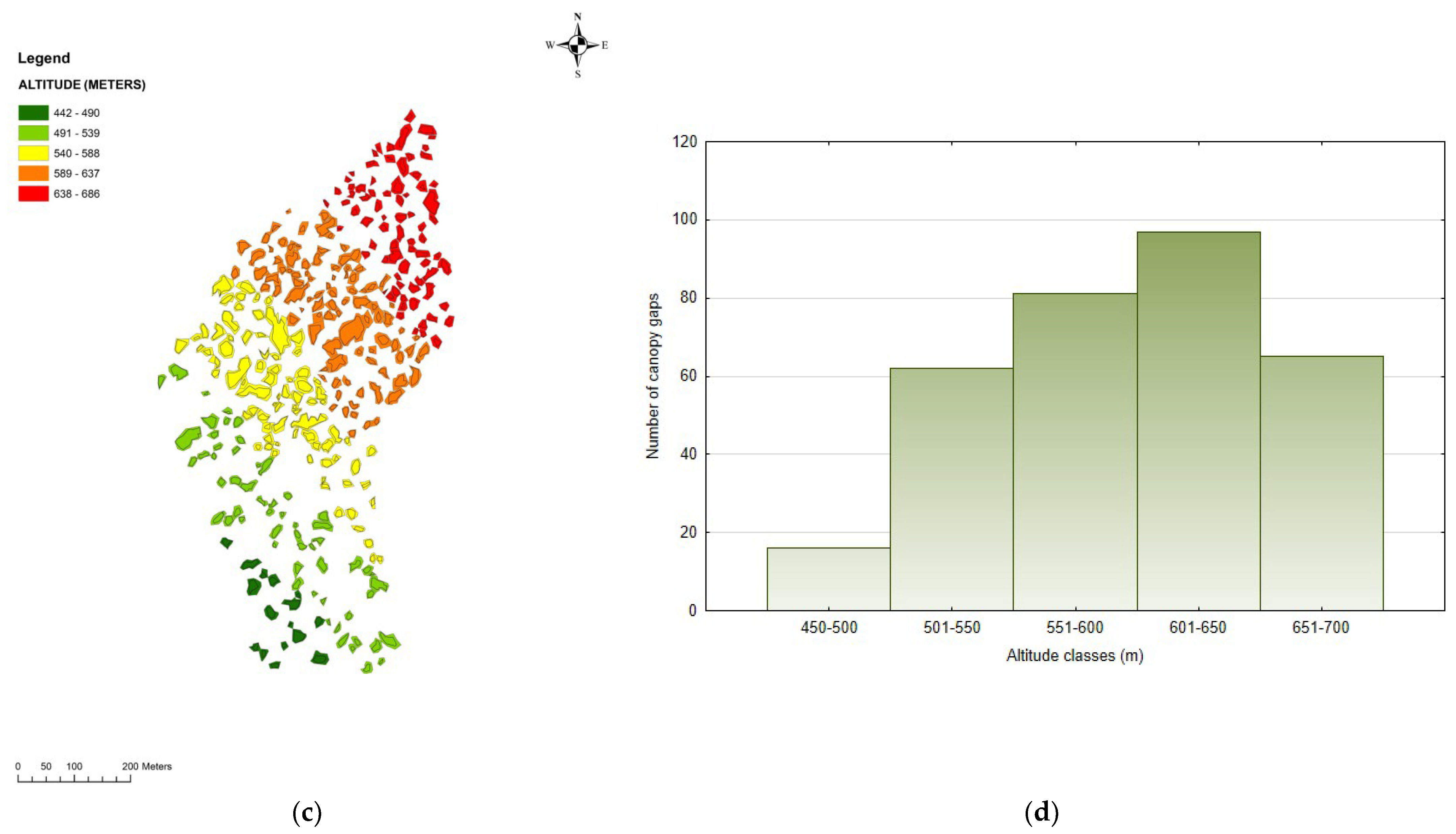 Forests 14 00188 g003b Forests 14 00188 g003b