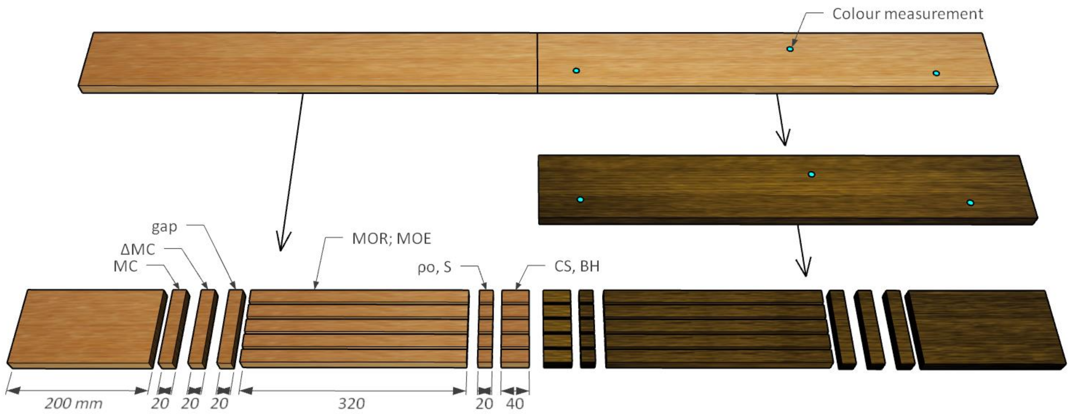 Forests 14 00189 g001 Forests 14 00189 g001
