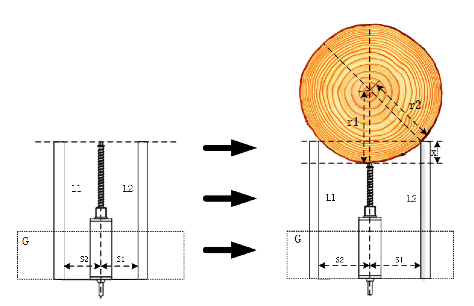 Forests 14 00192 g006 Forests 14 00192 g006