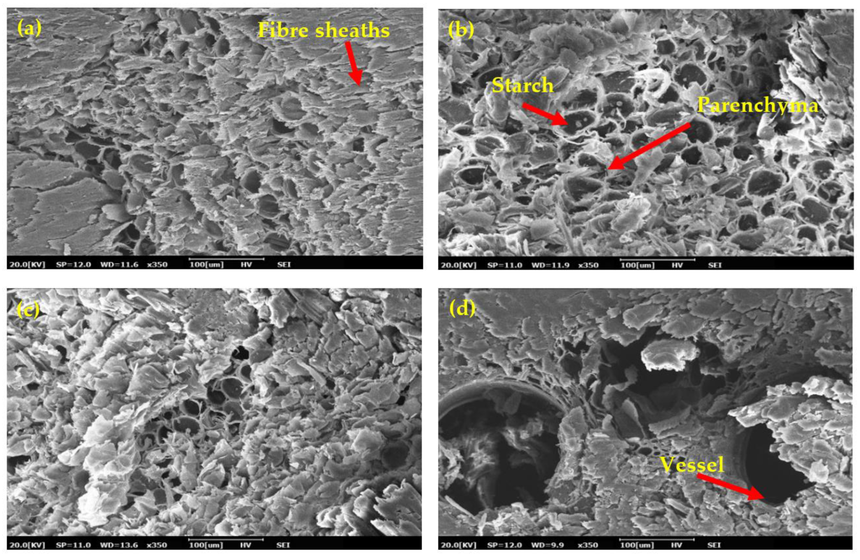 Forests 14 00196 g003