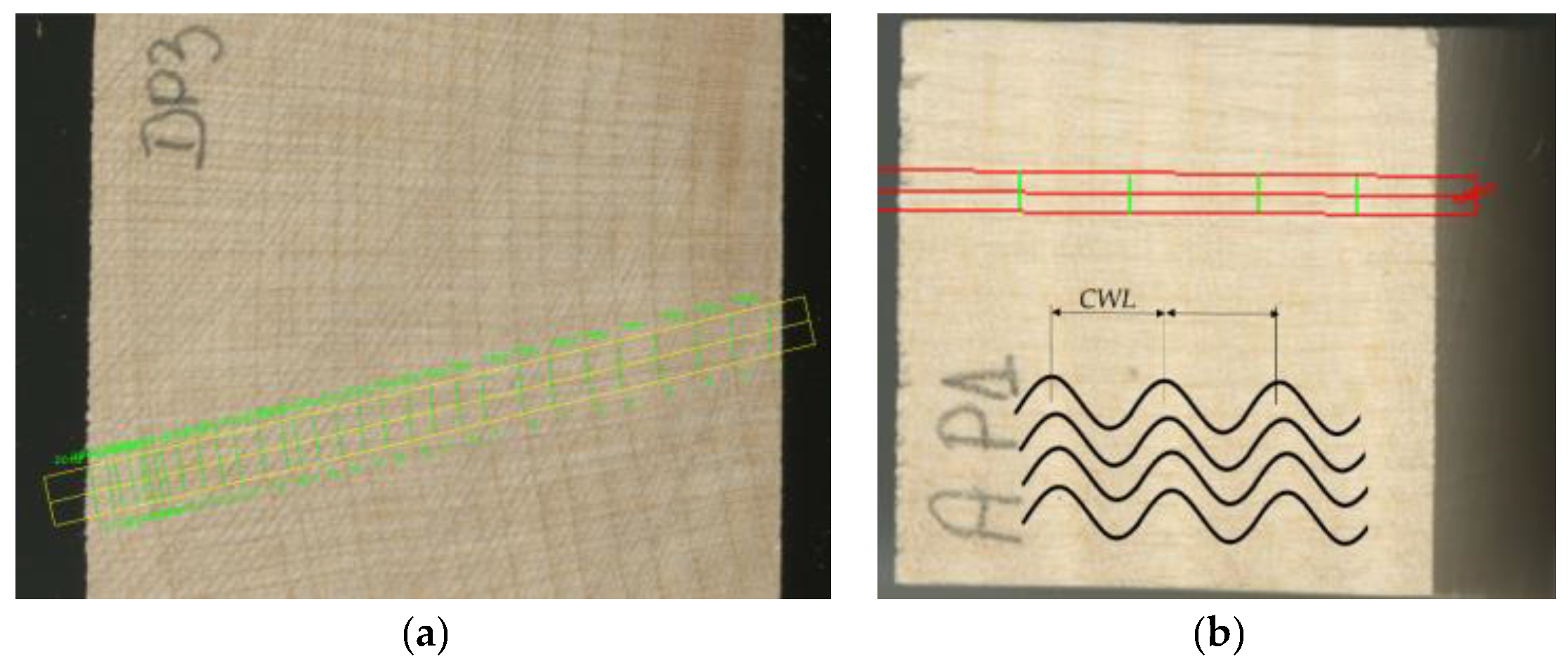 Forests 14 00197 g002 Forests 14 00197 g002