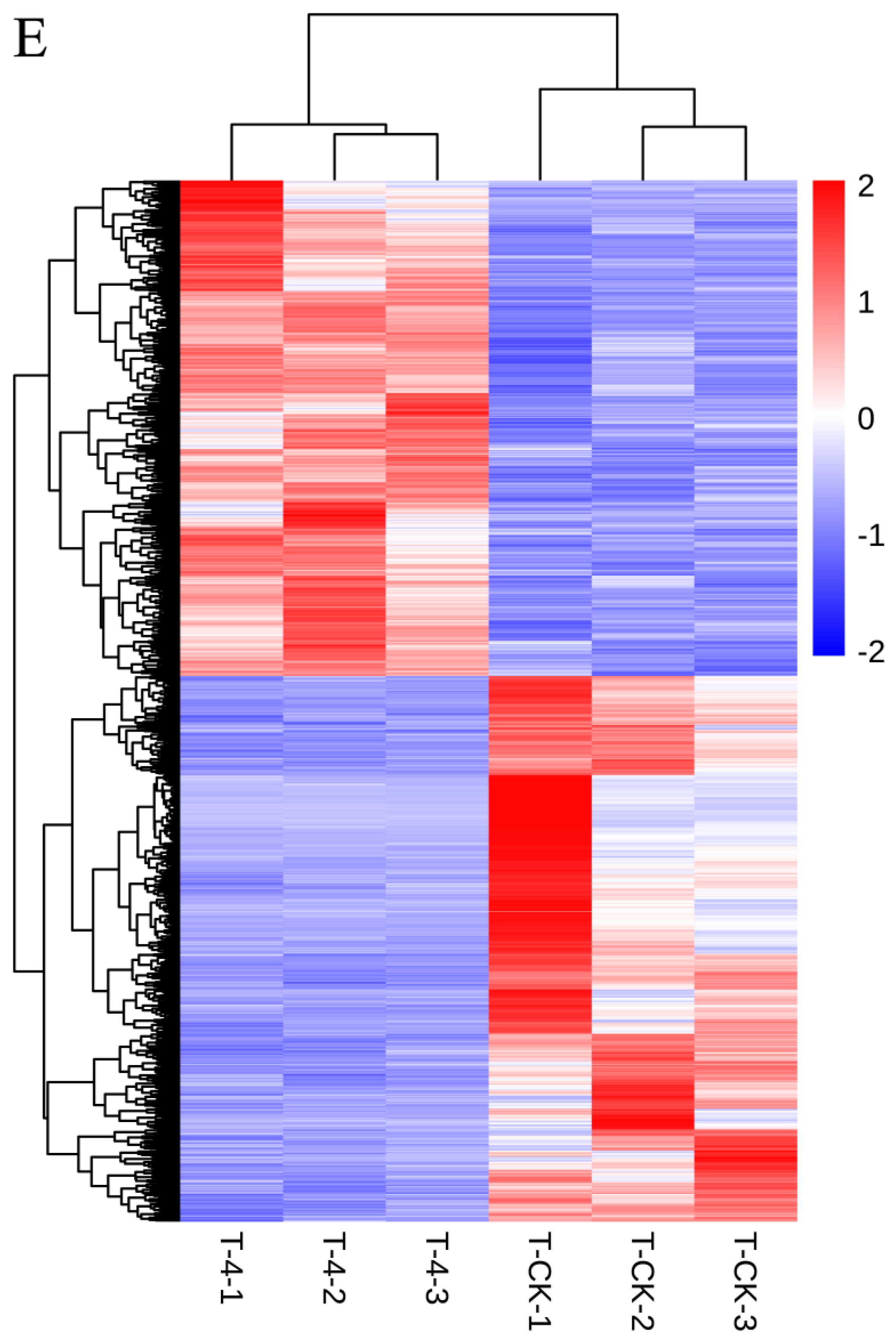 Forests 14 00198 g002c Forests 14 00198 g002c