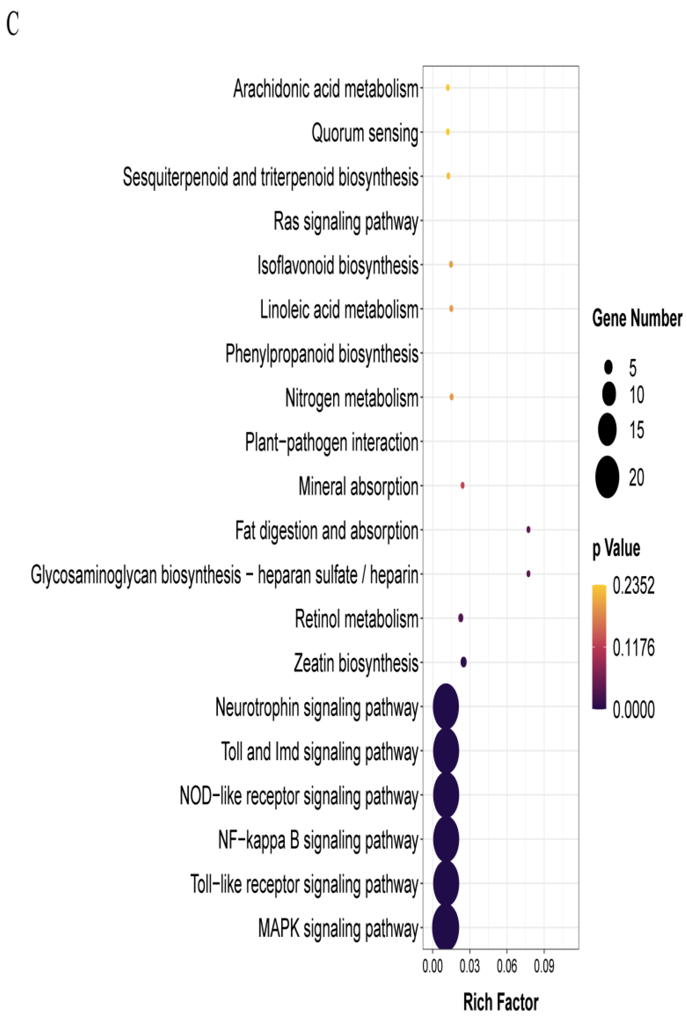 Forests 14 00198 g003b Forests 14 00198 g003b