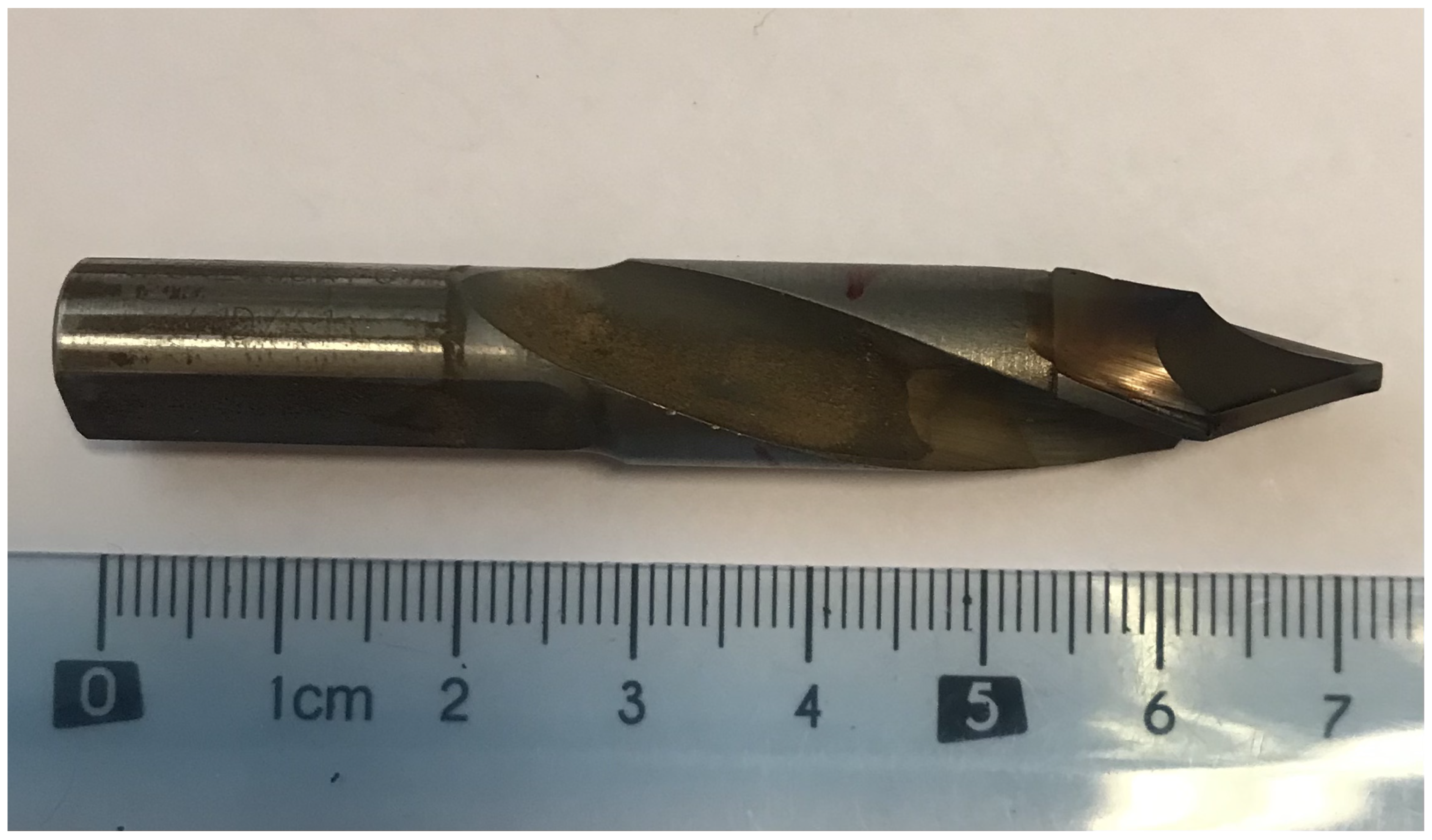 Forests 14 00205 g001