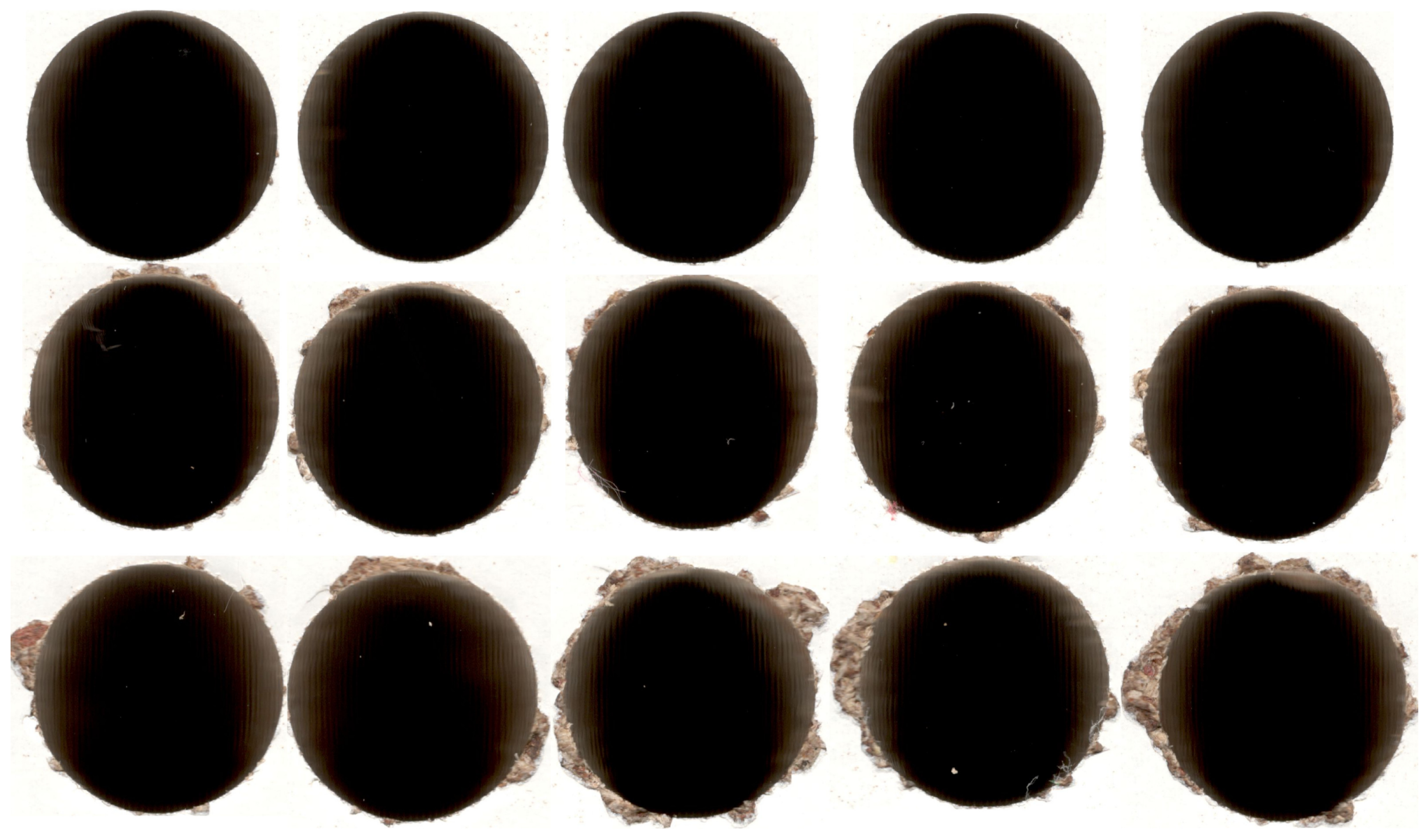 Forests 14 00205 g003