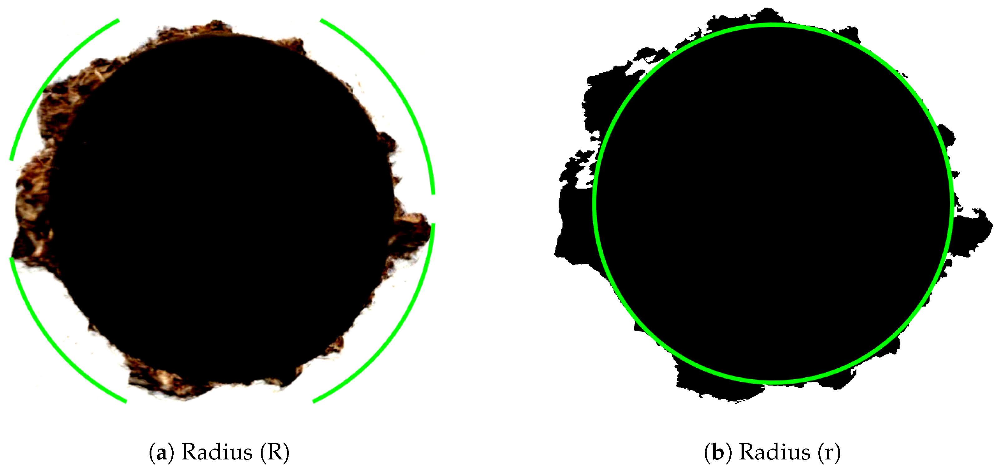 Forests 14 00205 g006