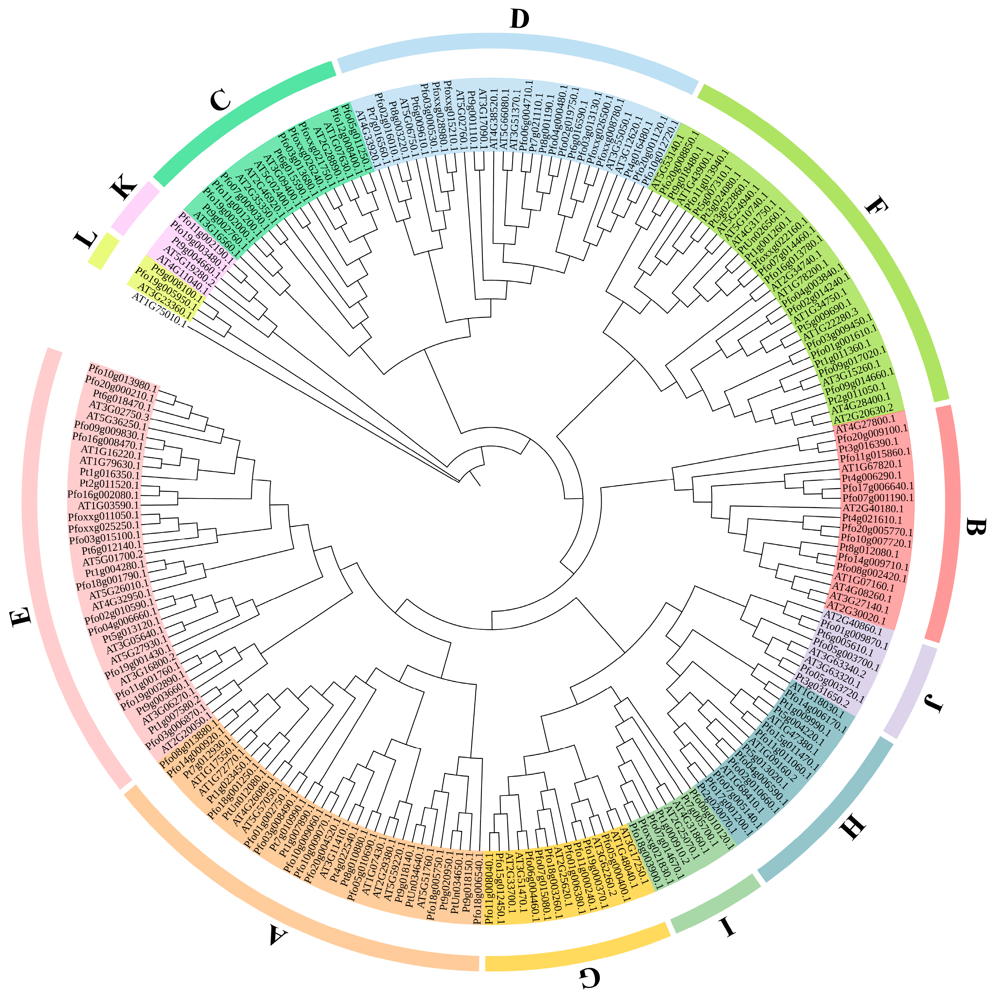 Forests 14 00207 g003 Forests 14 00207 g003