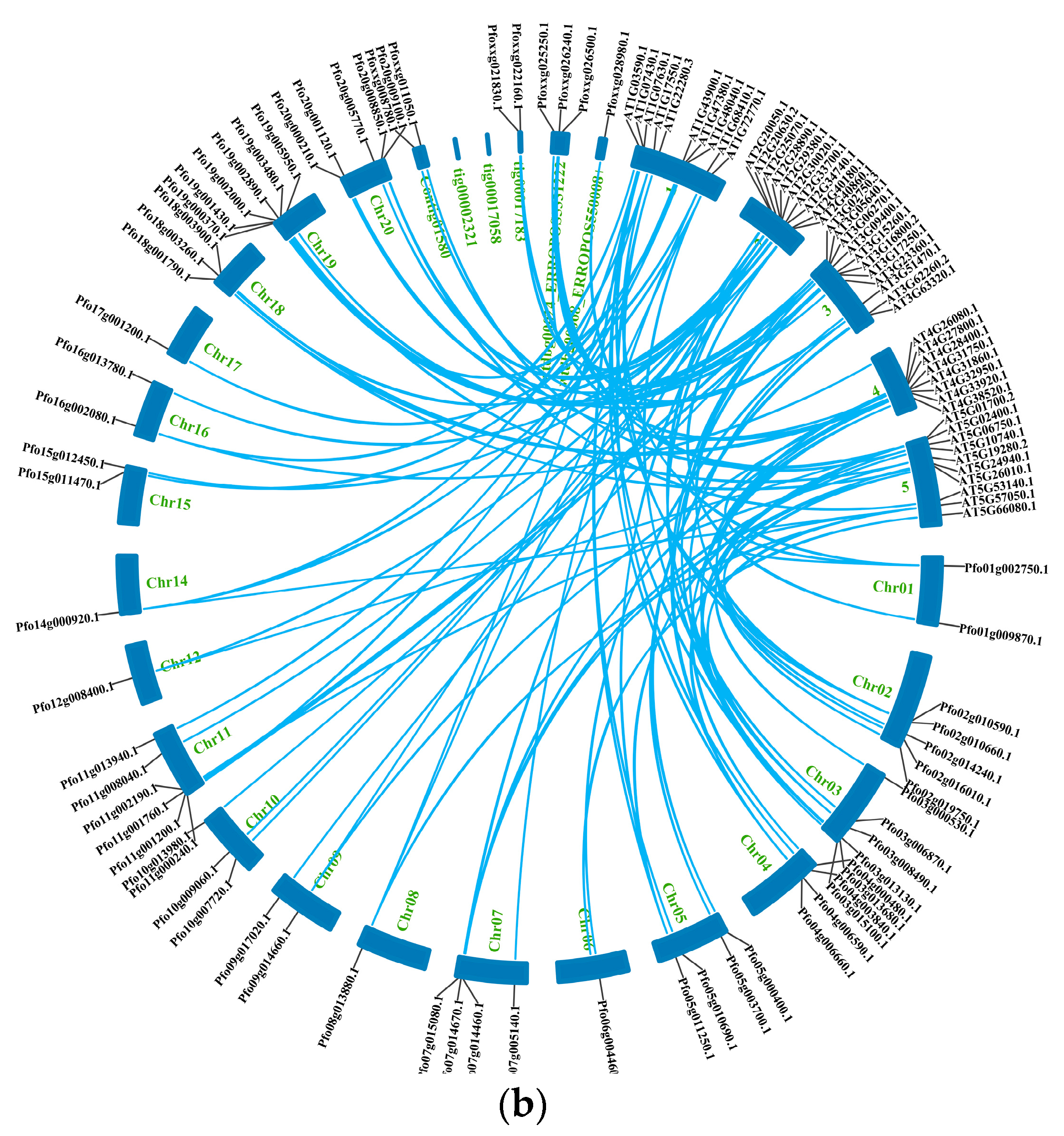 Forests 14 00207 g006b Forests 14 00207 g006b