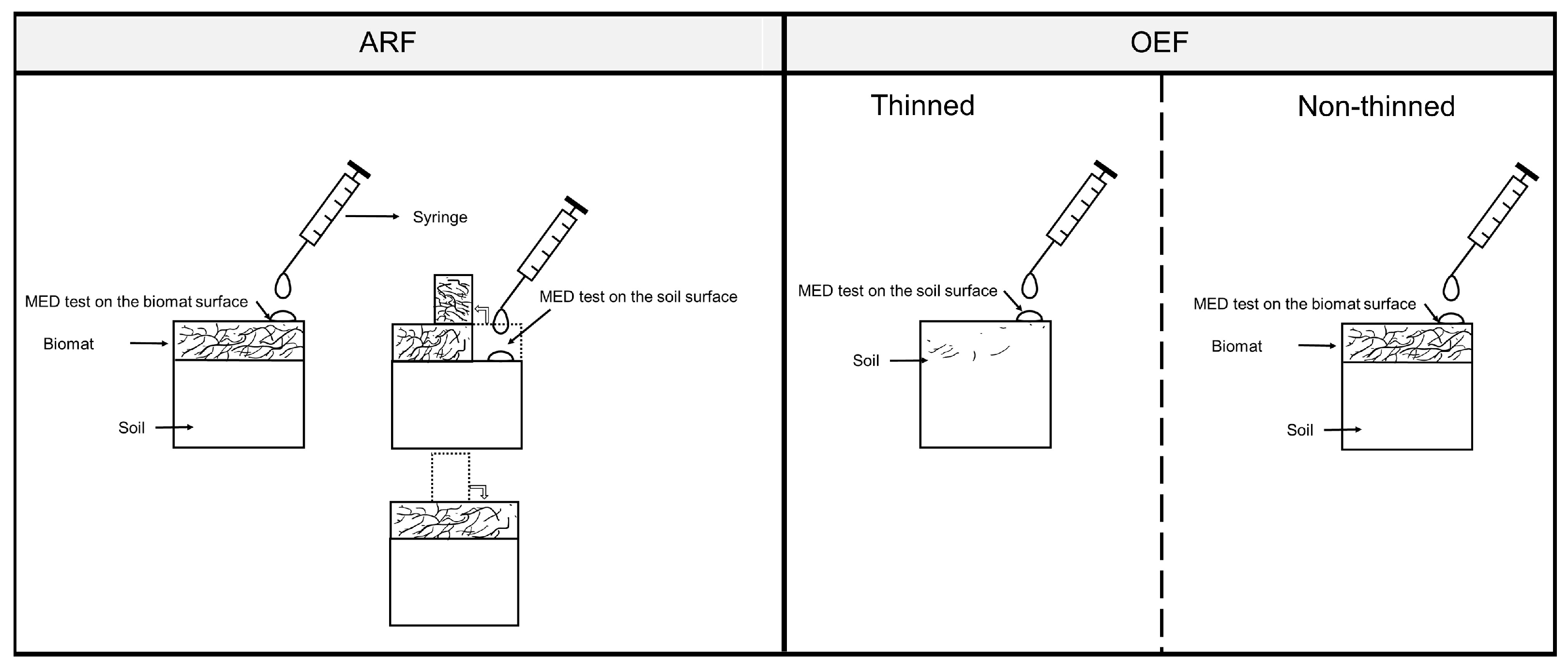 Forests 14 00210 g002 Forests 14 00210 g002