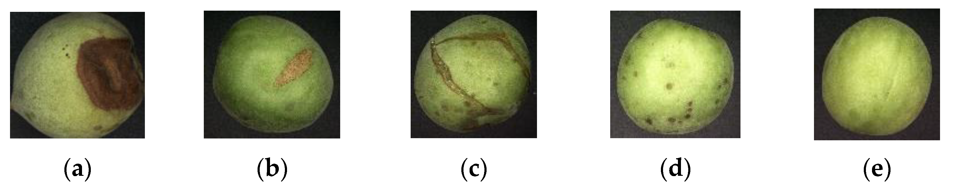 Forests 14 00218 g001