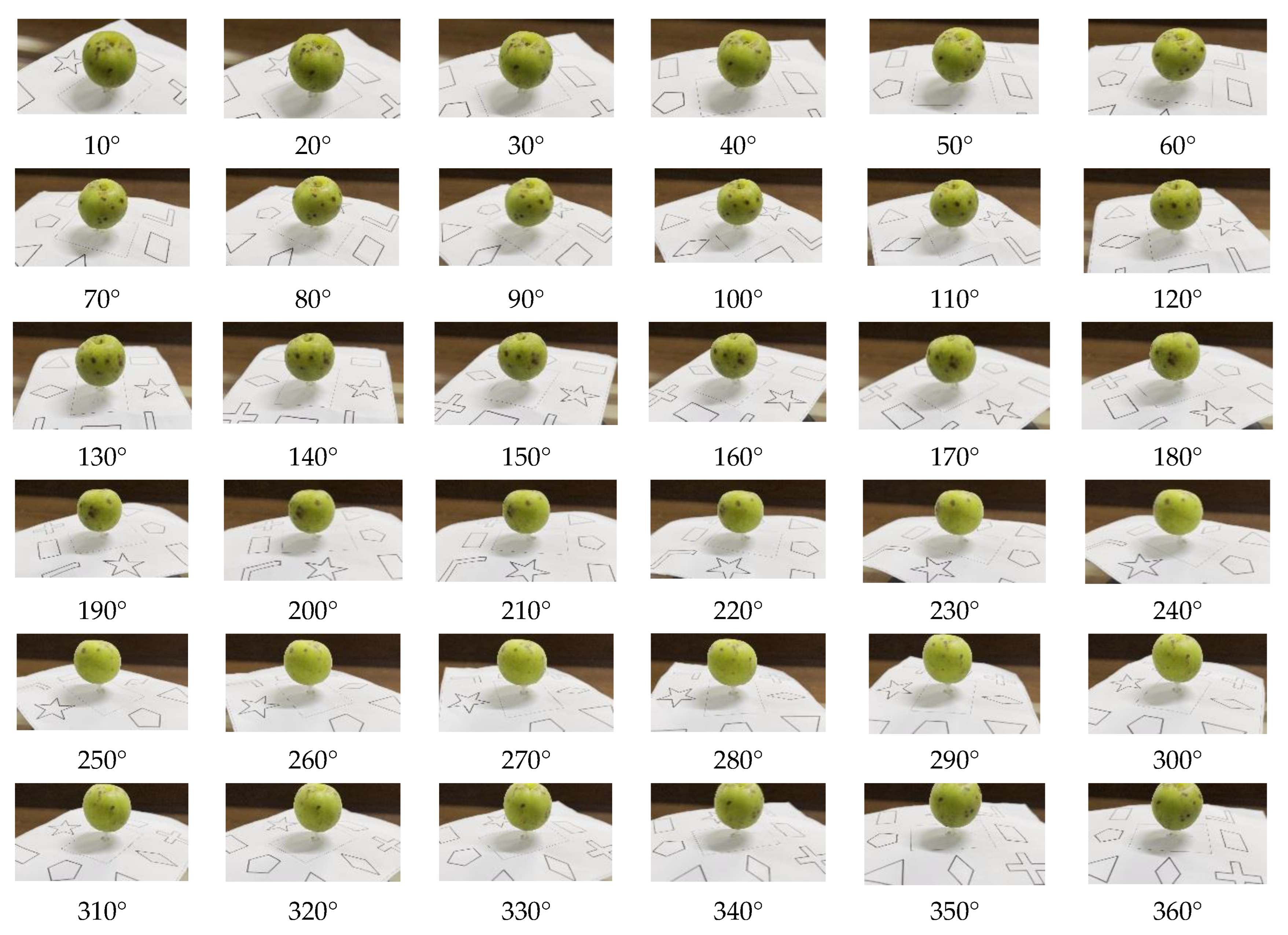 Forests 14 00218 g003