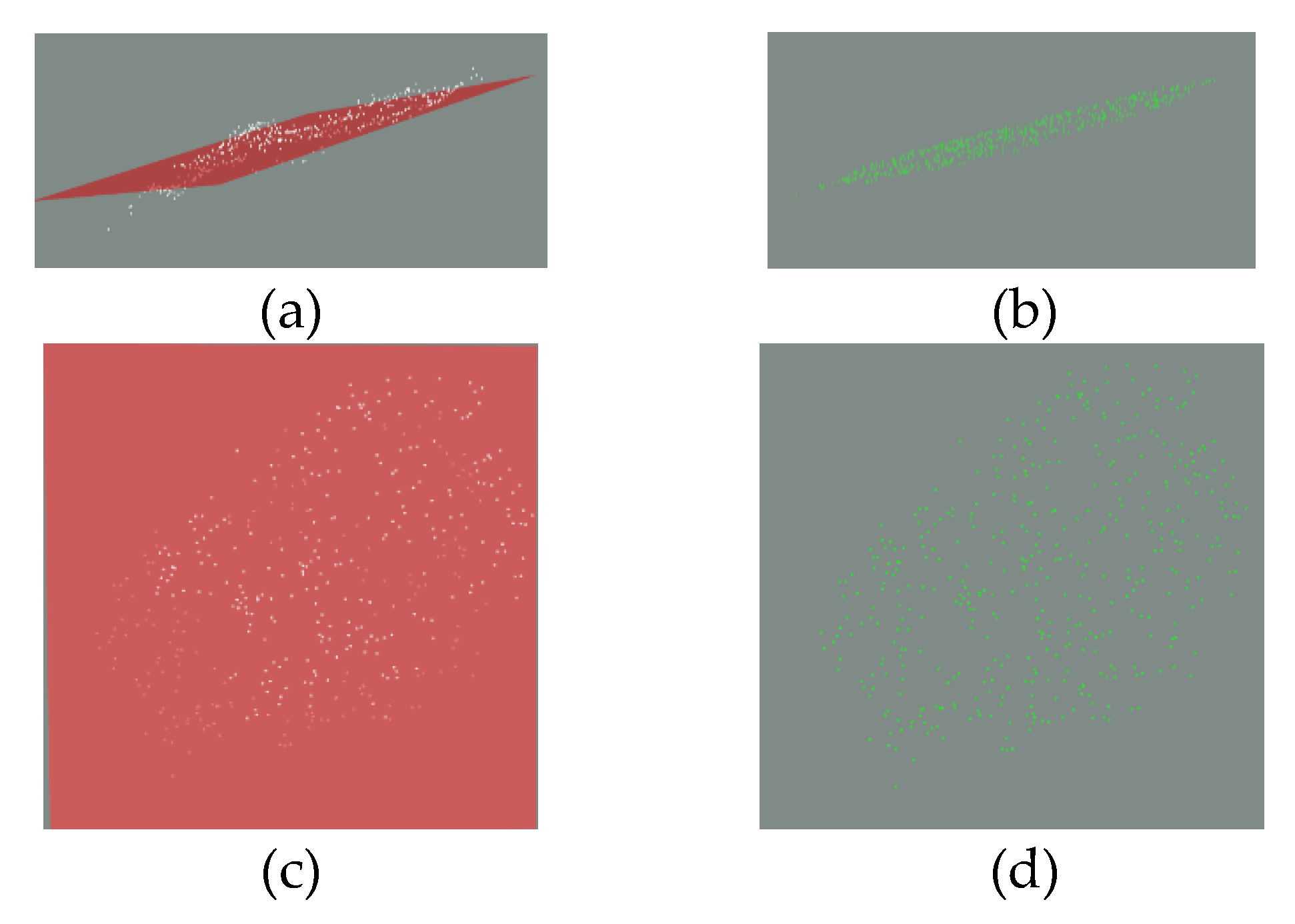 Forests 14 00218 g009
