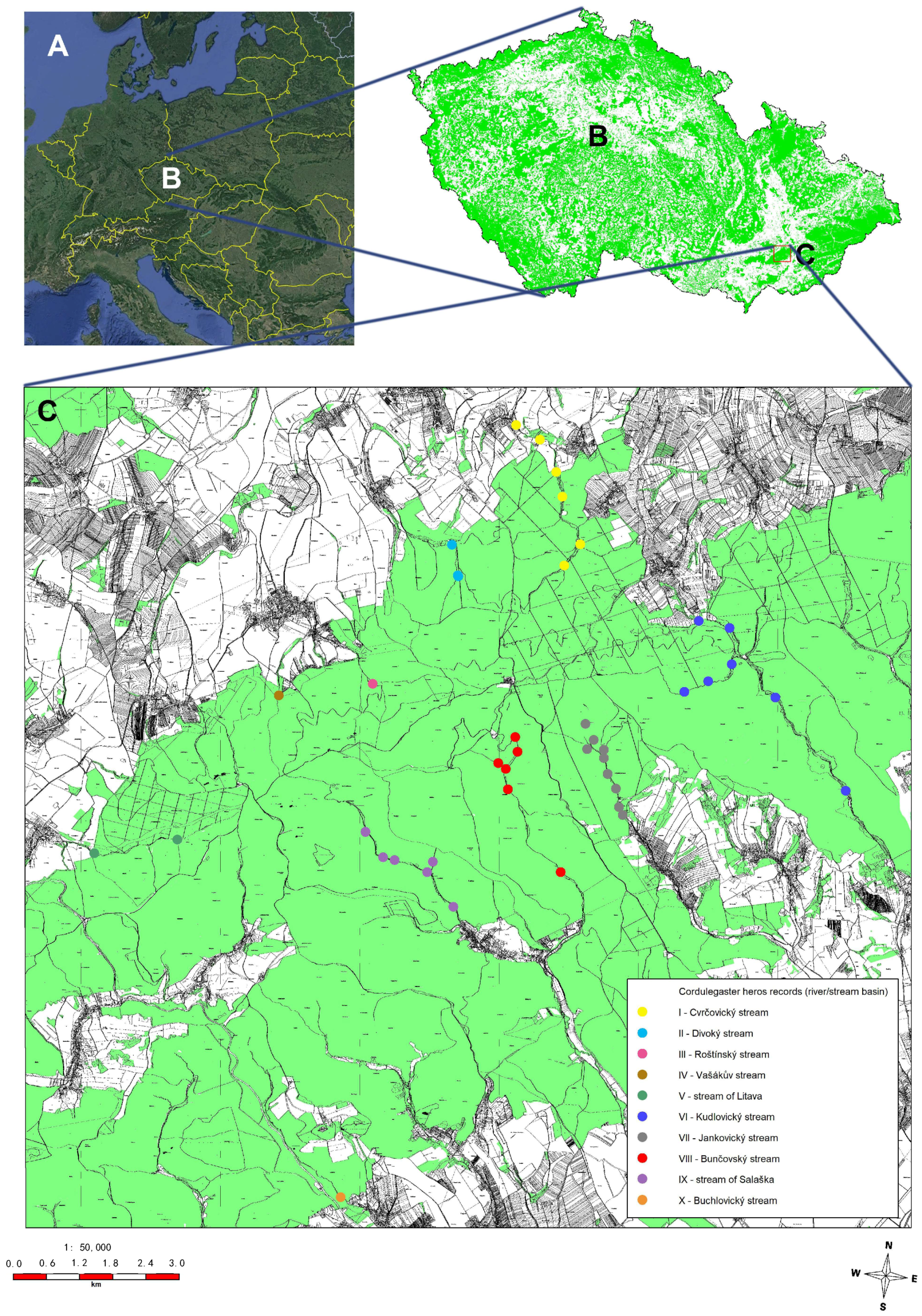 Forests 14 00228 g002 Forests 14 00228 g002