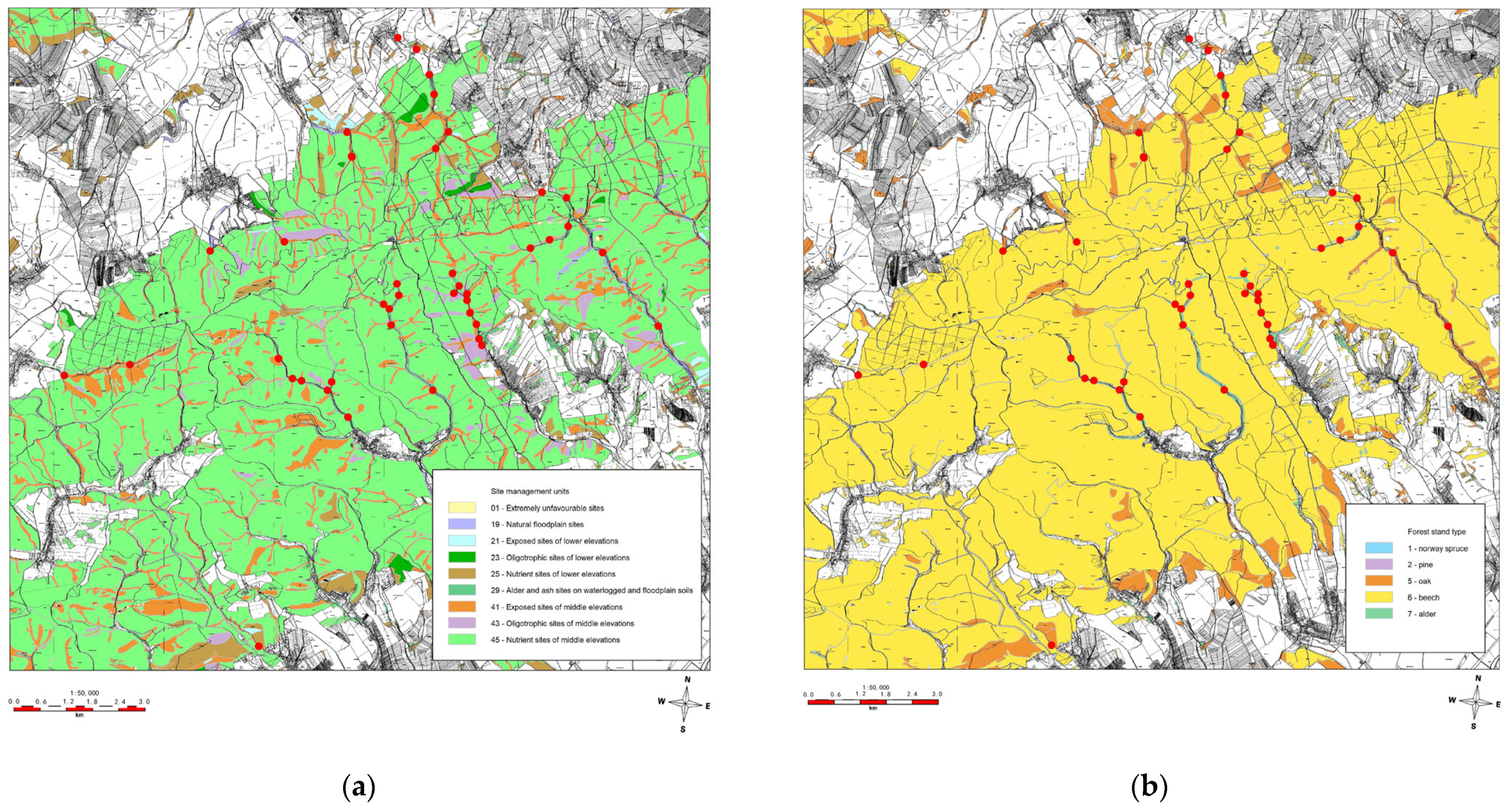 Forests 14 00228 g004 Forests 14 00228 g004