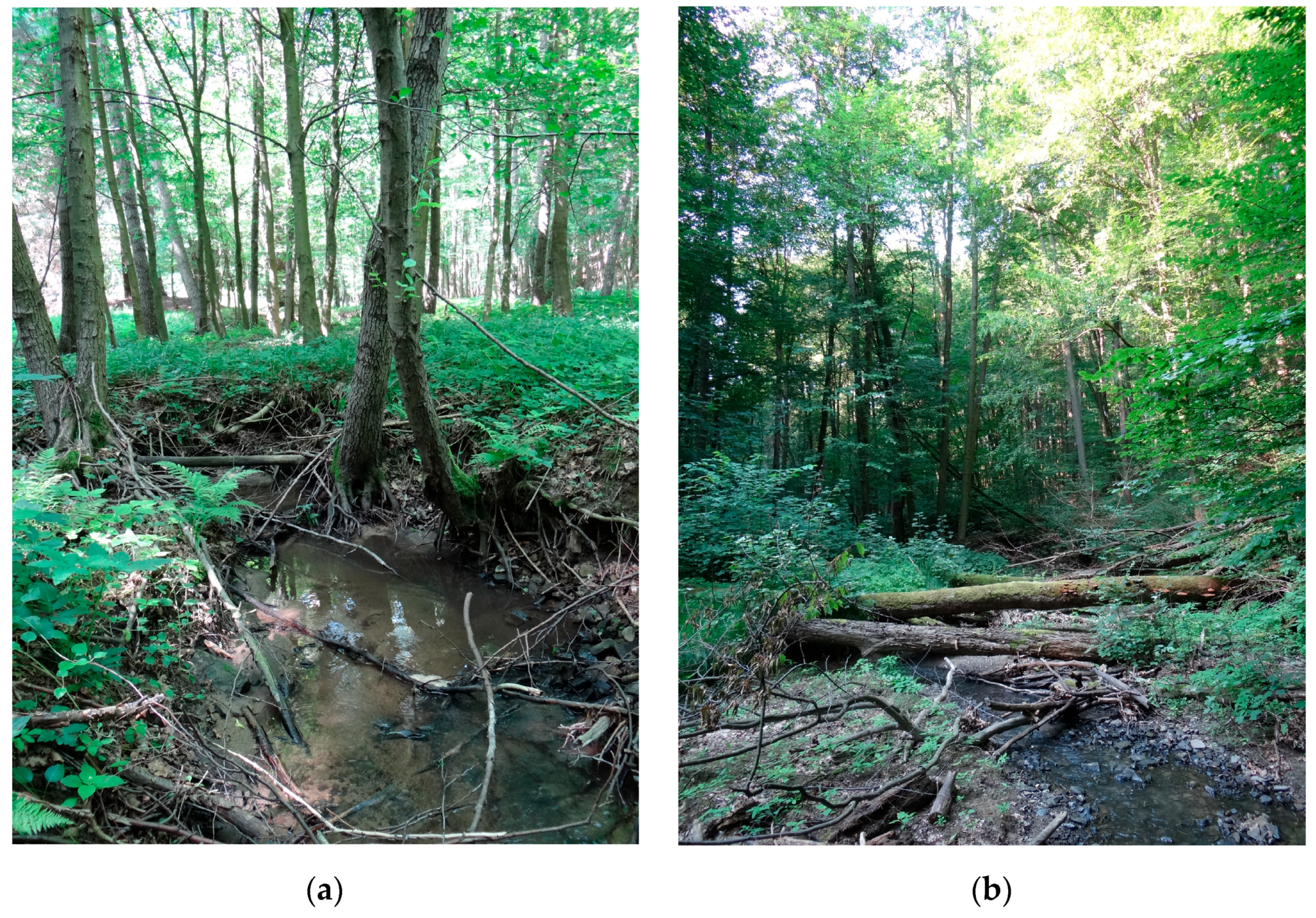 Forests 14 00228 g006 Forests 14 00228 g006