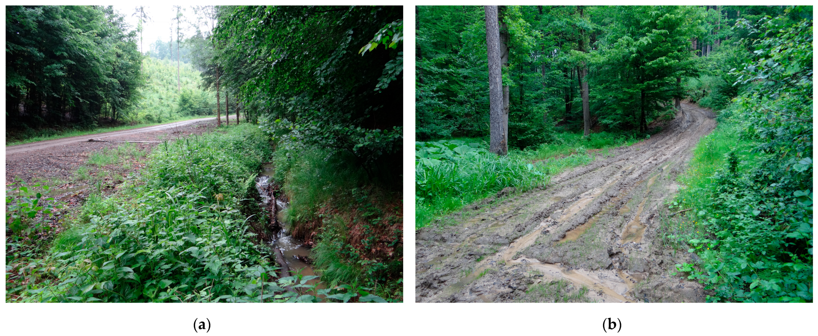 Forests 14 00228 g010 Forests 14 00228 g010