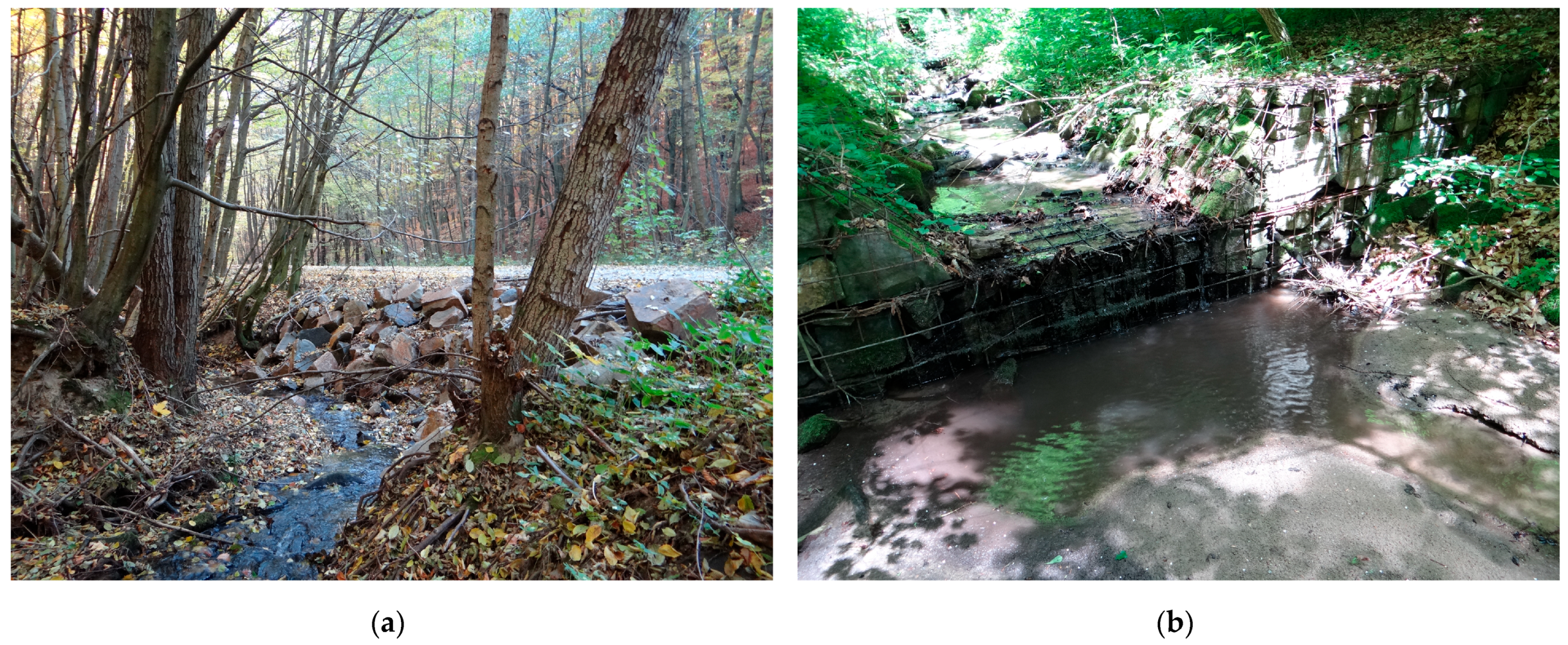 Forests 14 00228 g011 Forests 14 00228 g011