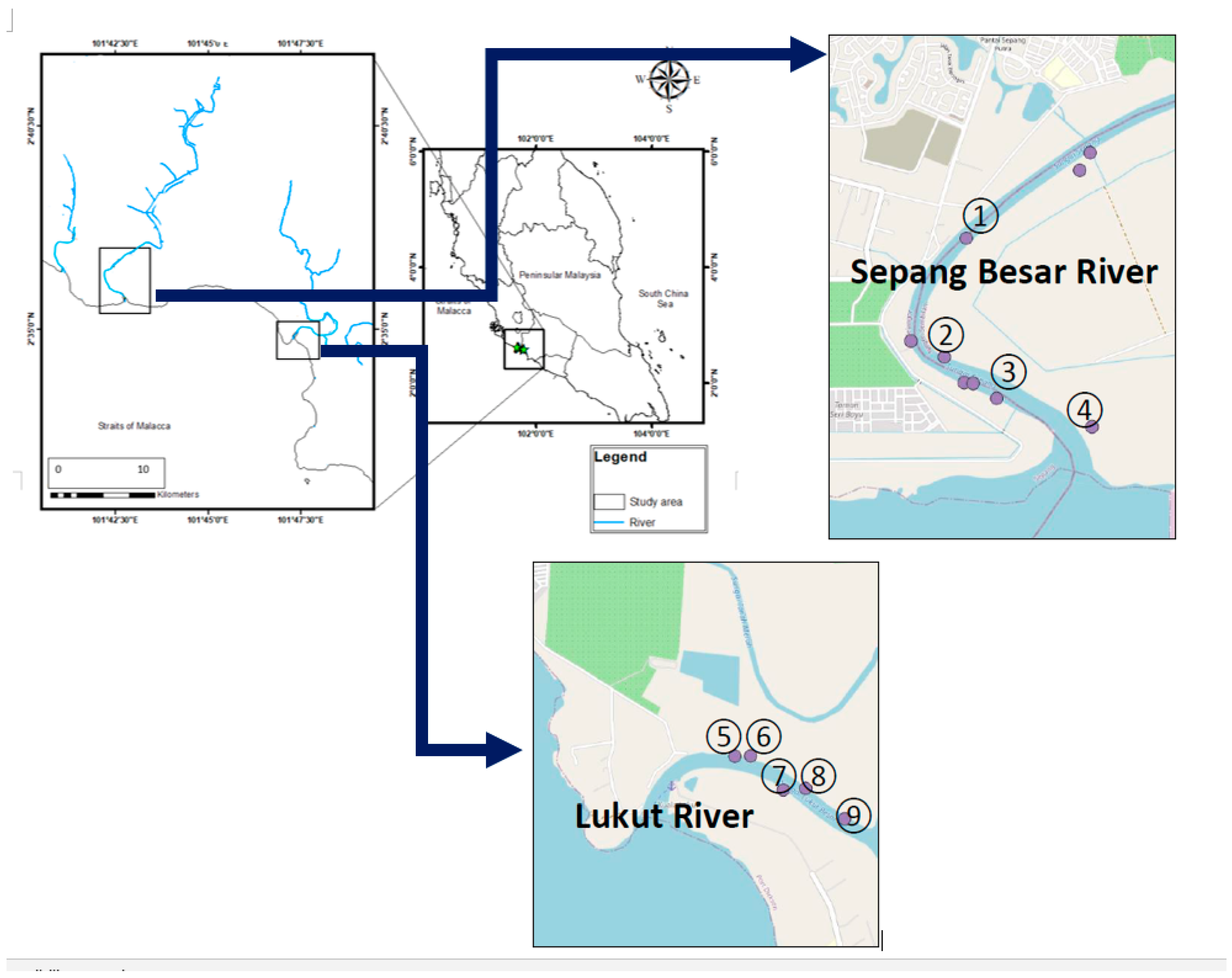 Forests 14 00237 g001