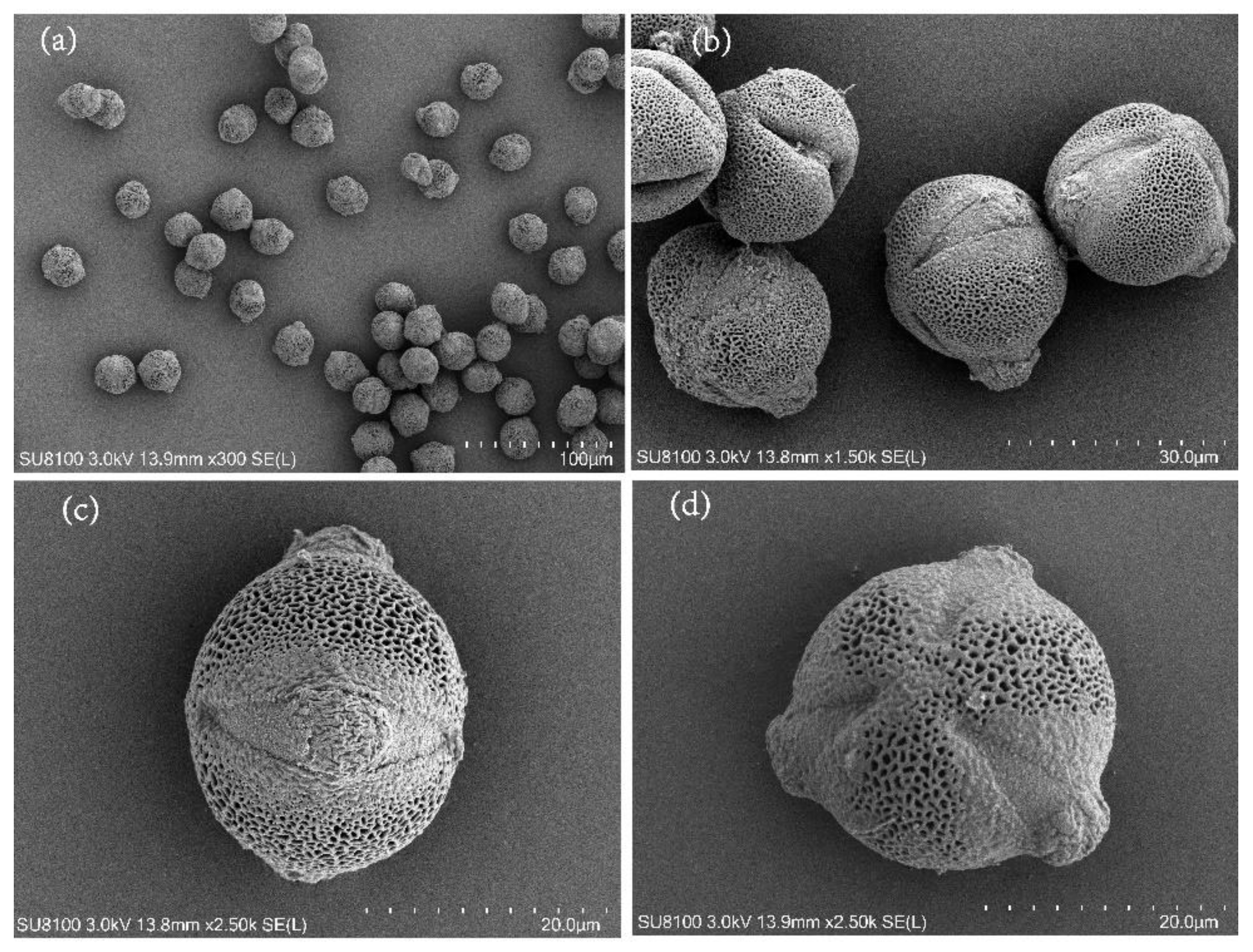 Forests 14 00243 g002 Forests 14 00243 g002