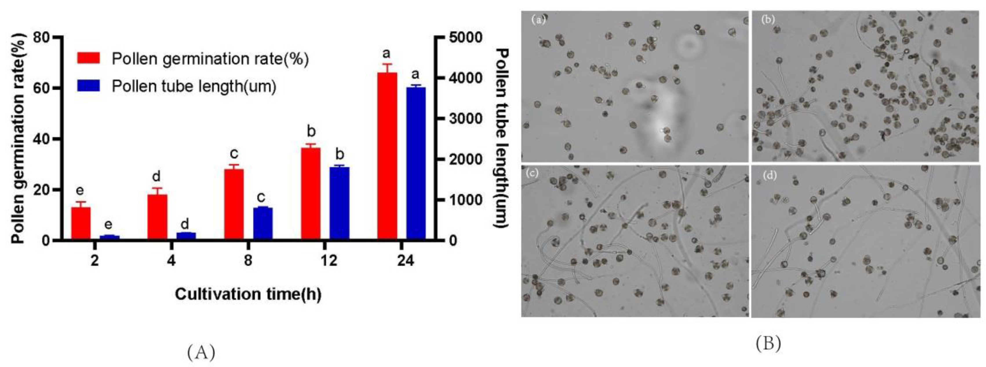 Forests 14 00243 g005 Forests 14 00243 g005