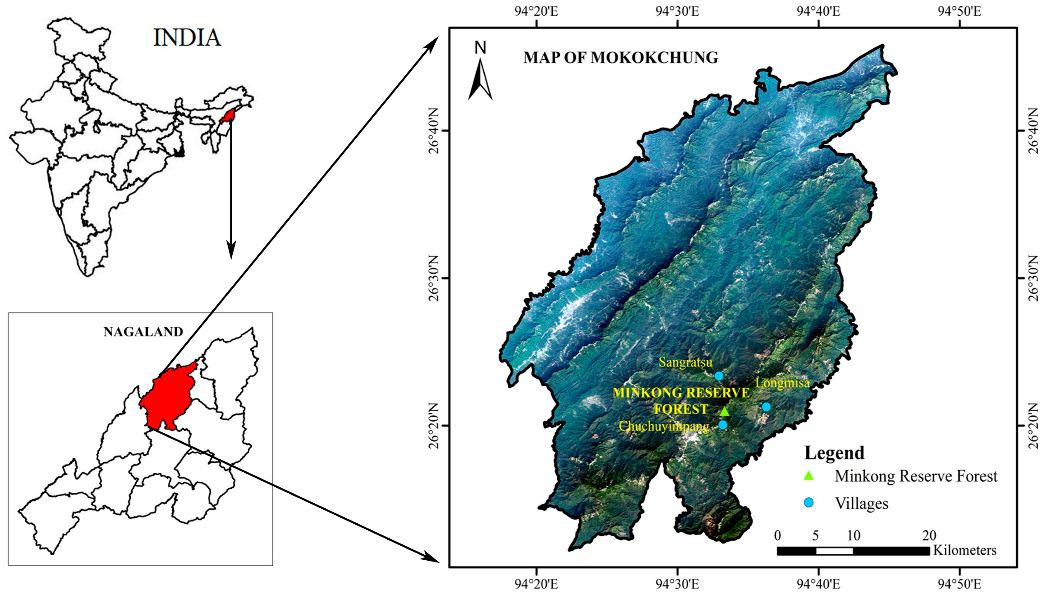 Forests 14 00245 g001 Forests 14 00245 g001
