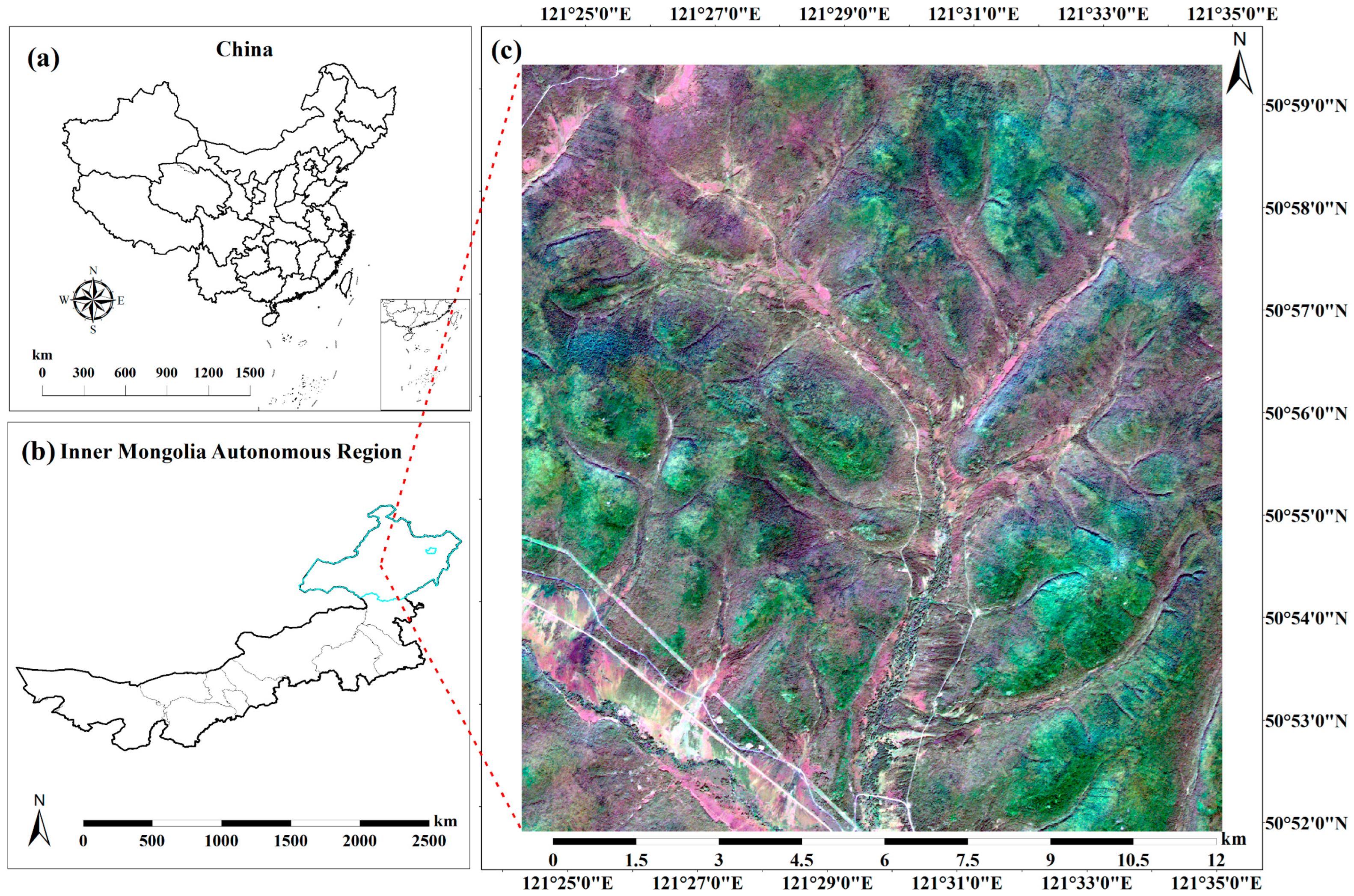 Forests 14 00254 g001 Forests 14 00254 g001
