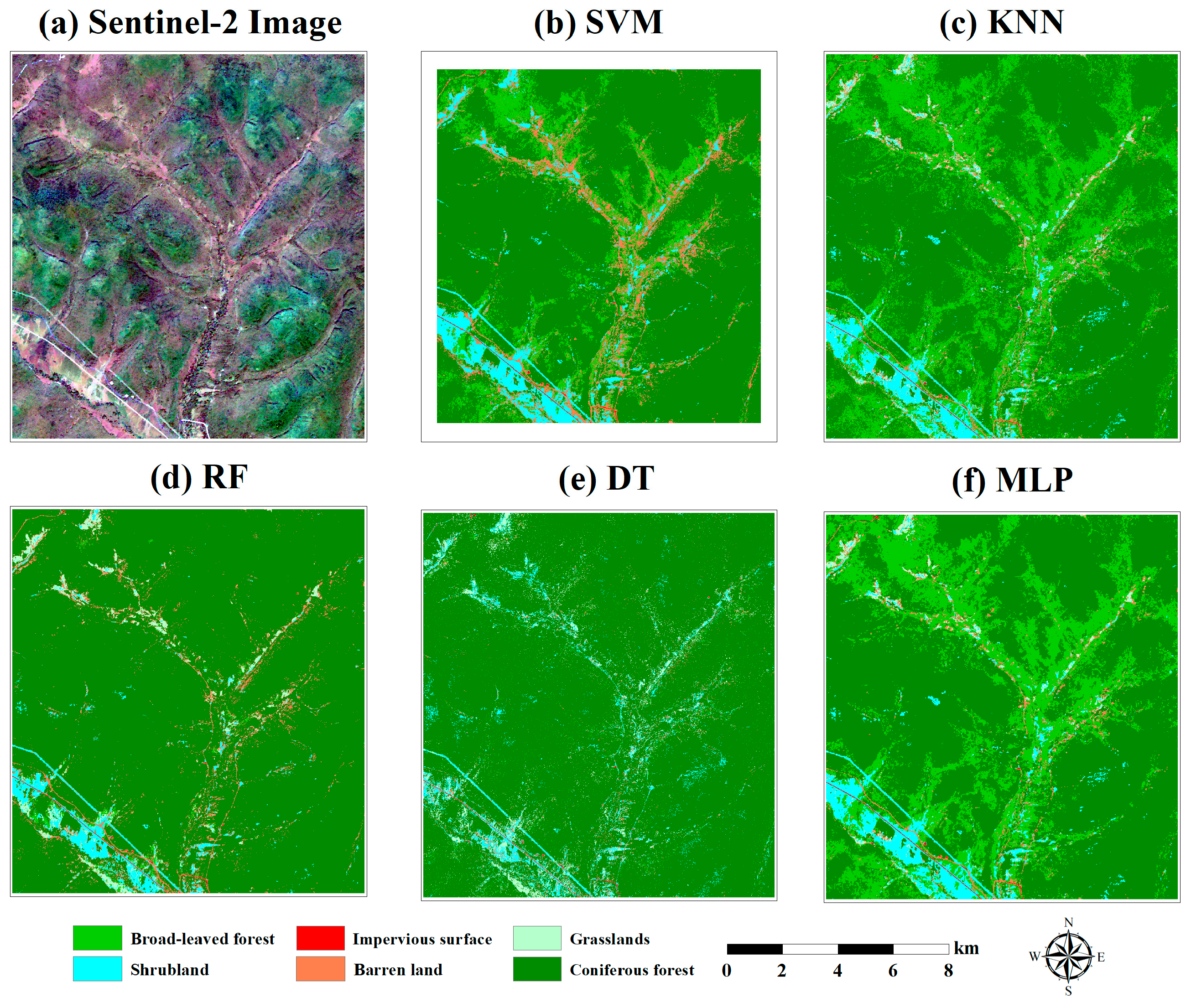 Forests 14 00254 g004 Forests 14 00254 g004