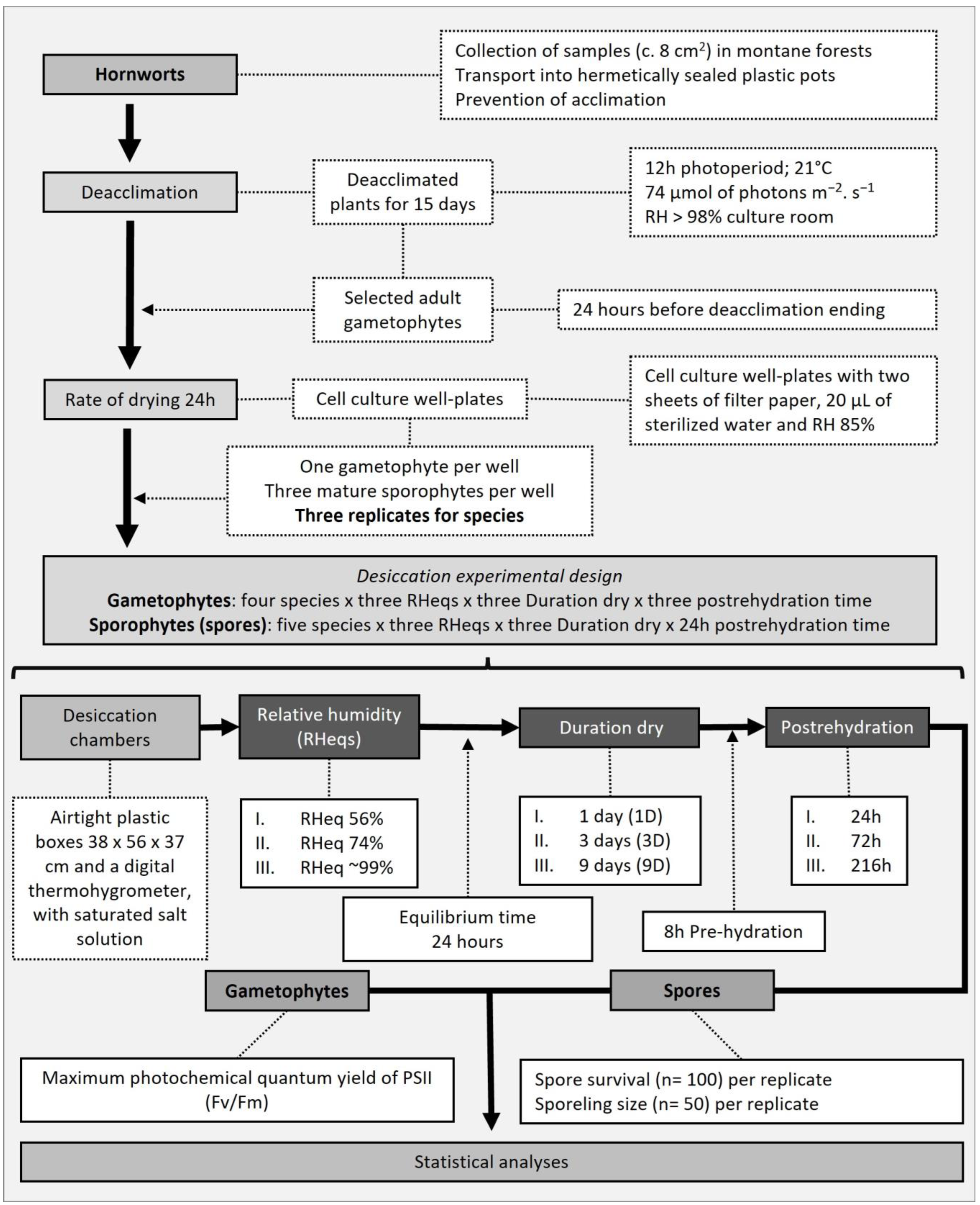 Forests 14 00255 g002 Forests 14 00255 g002