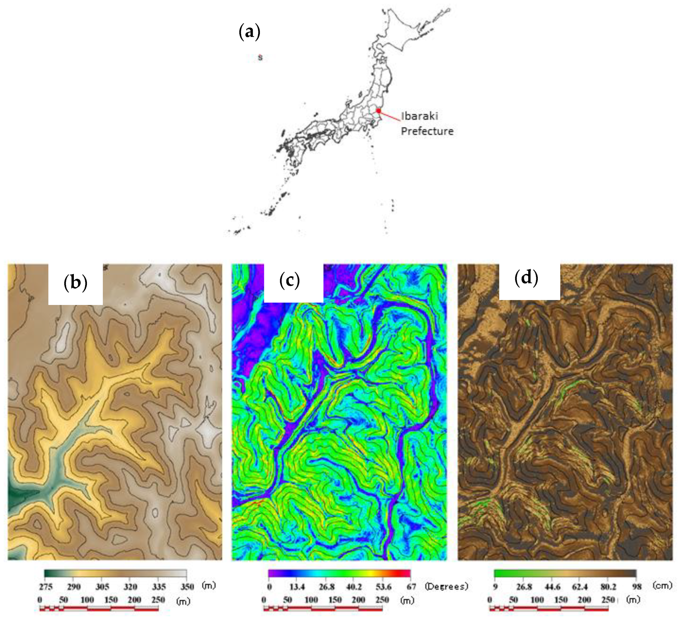 Forests 14 00256 g002 Forests 14 00256 g002