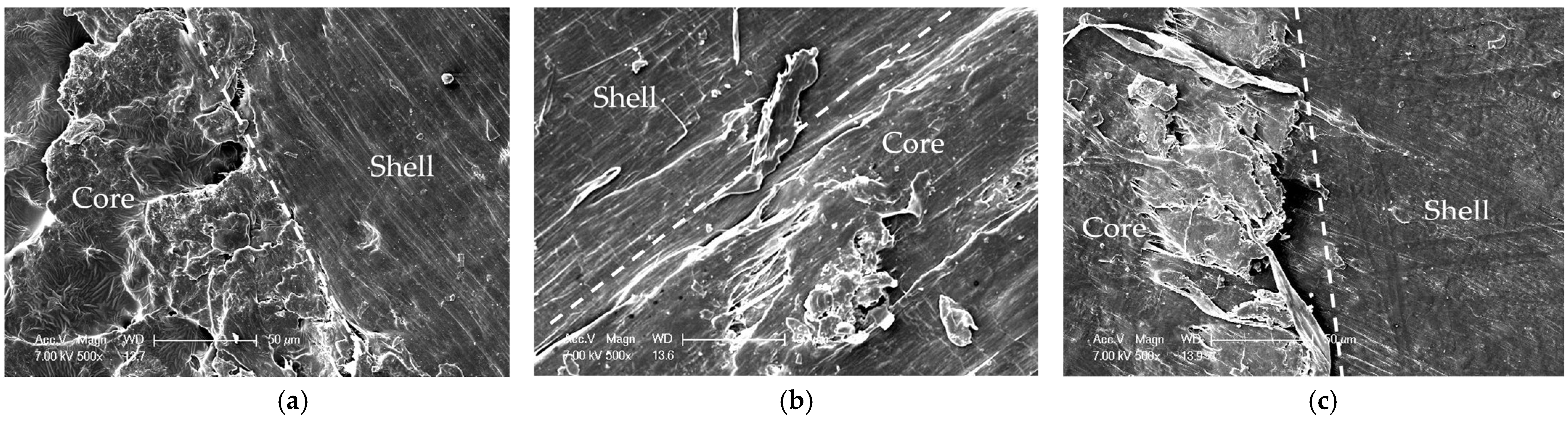 Forests 14 00257 g002 Forests 14 00257 g002