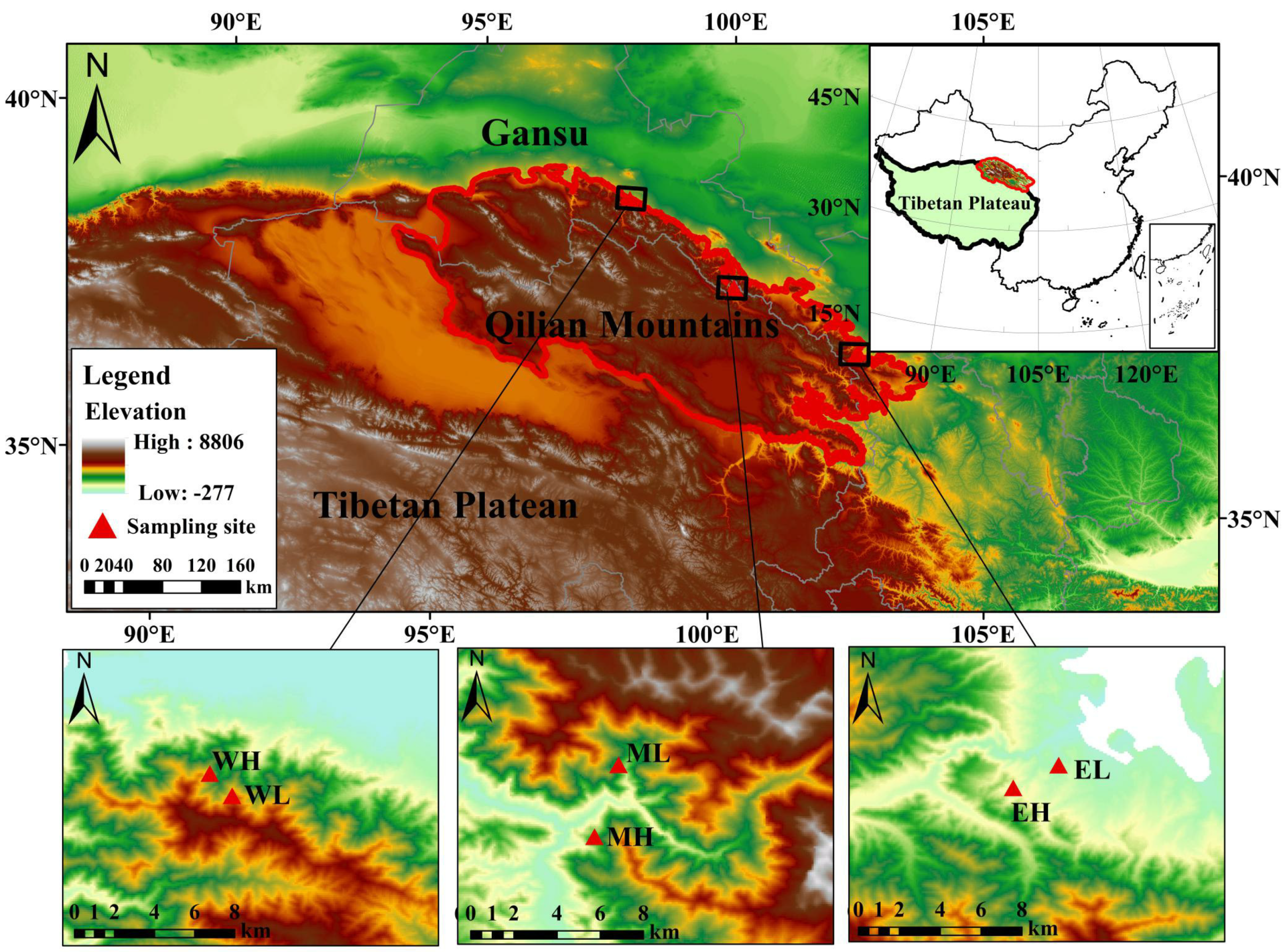 Frontiers  Growth patterns and environmental adaptions of the tree species  planted for ecological remediation in typhoon-disturbed areas—A case study  in Zhuhai, China